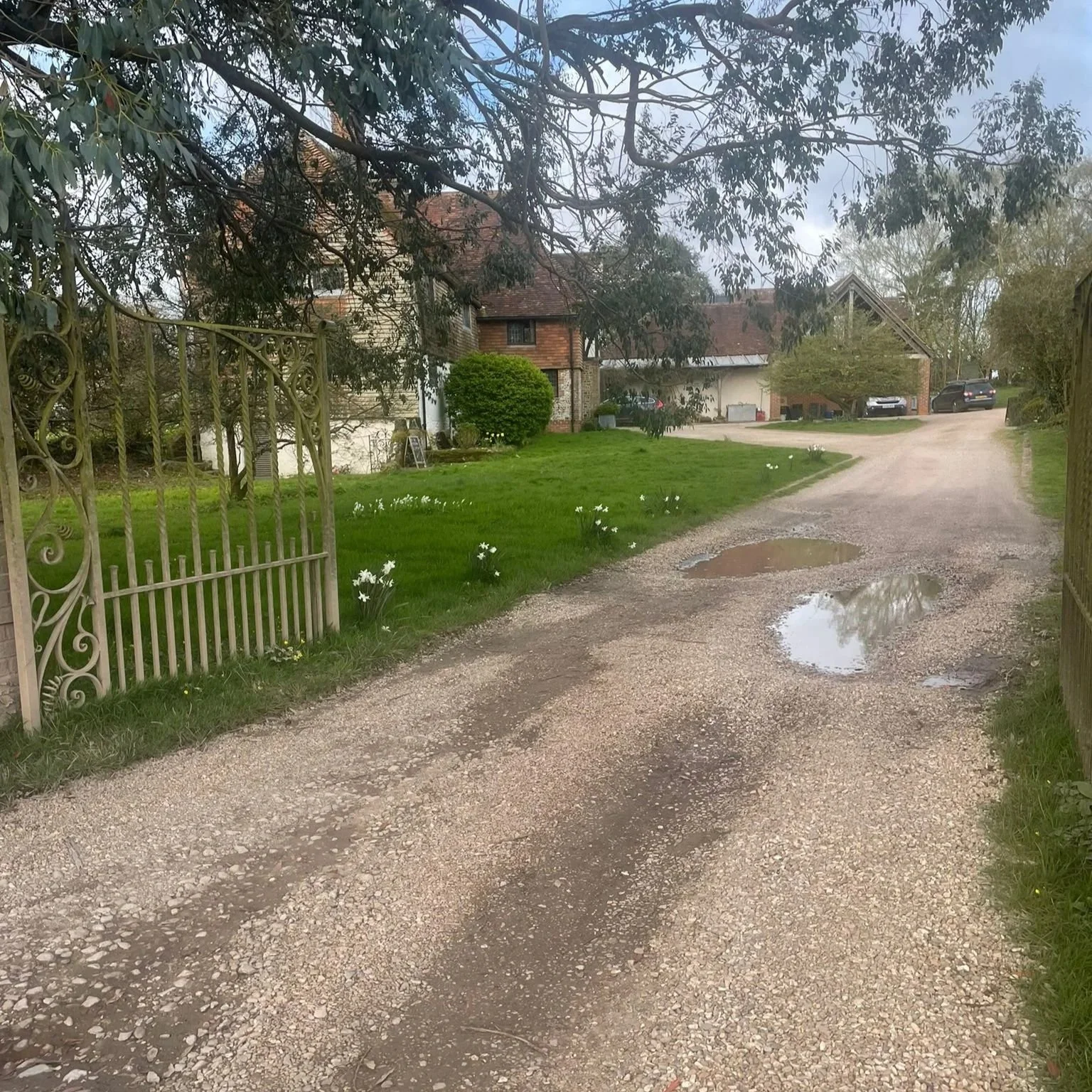 westerlands-rose-room-walk.jpg