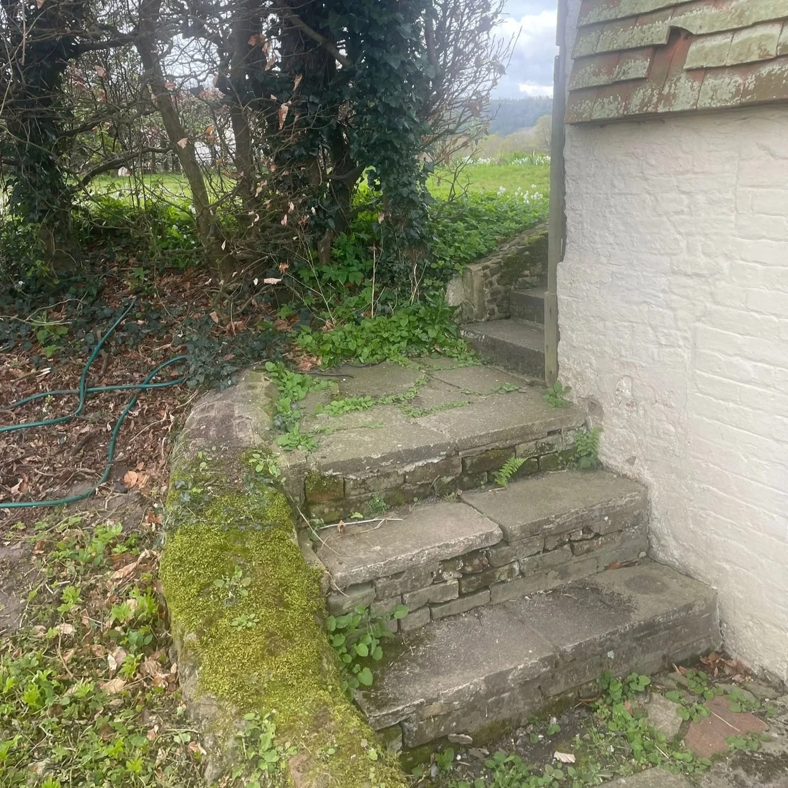 westerlands-rose-room-steps.jpg