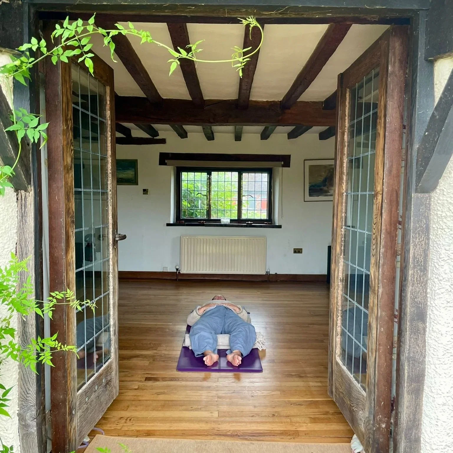 westerlands-rose-room-doors.jpg