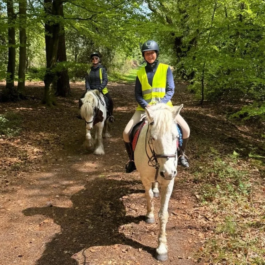 Adult Equestrians Day Camp
