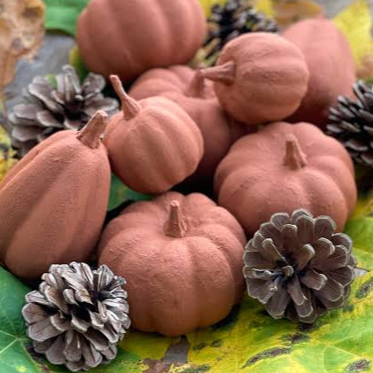 WildRoots: Clay Pumpkin Crafts