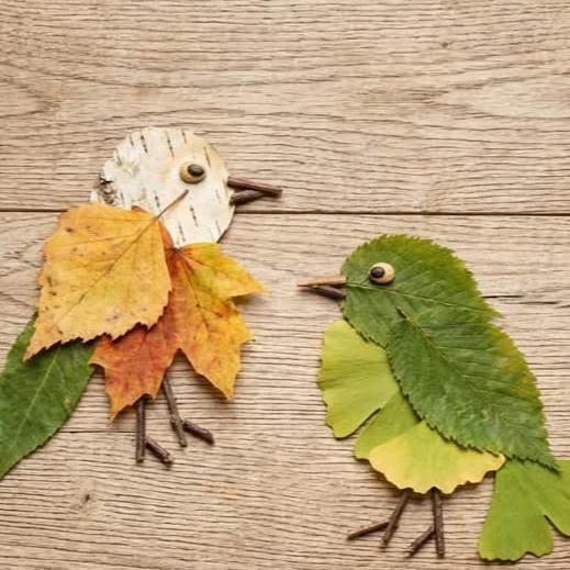 WildRoots: Autumn Arts &amp; Crafts