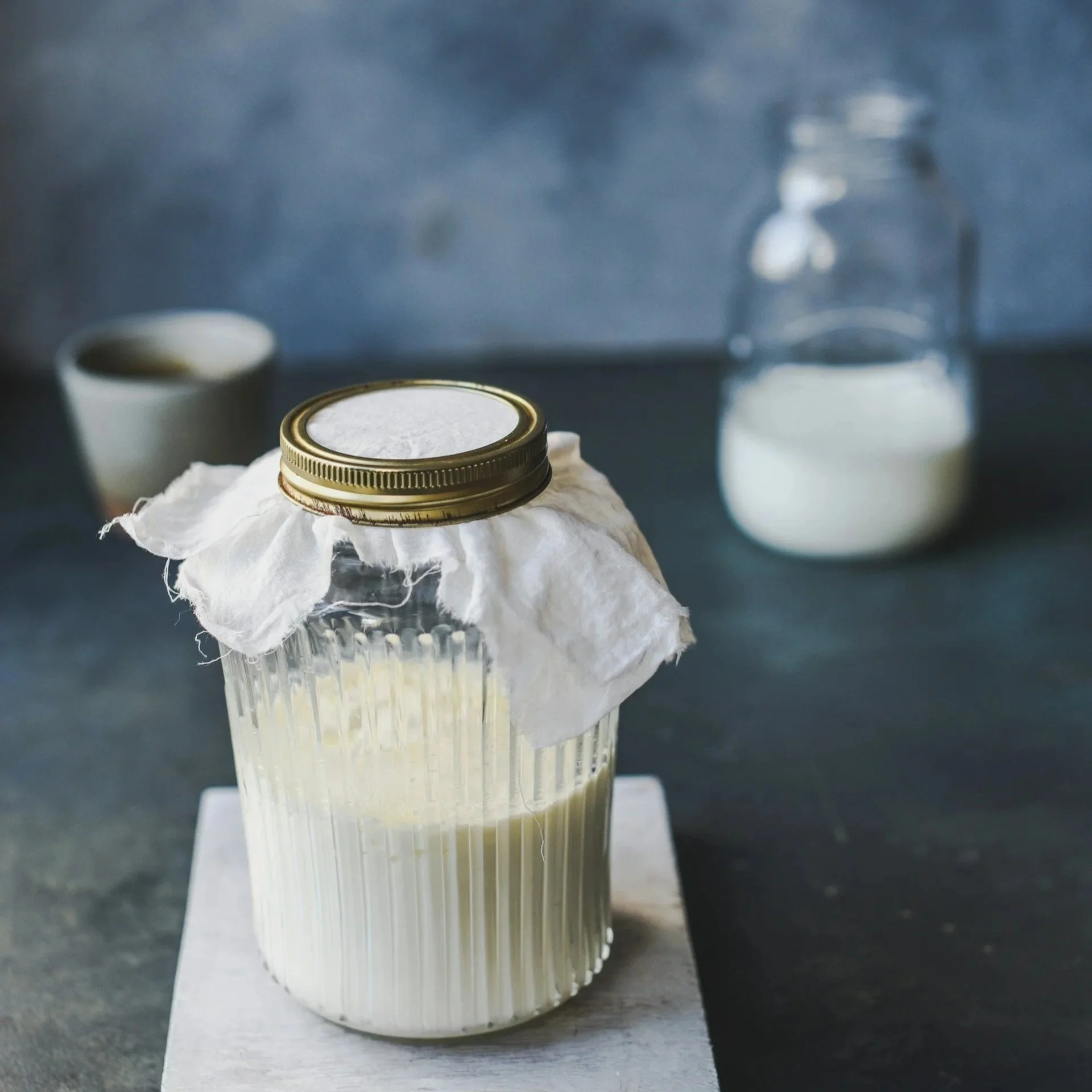 WildRoots Talk: Kefir Uncovered: Myths, Milks &amp; Everyday Use