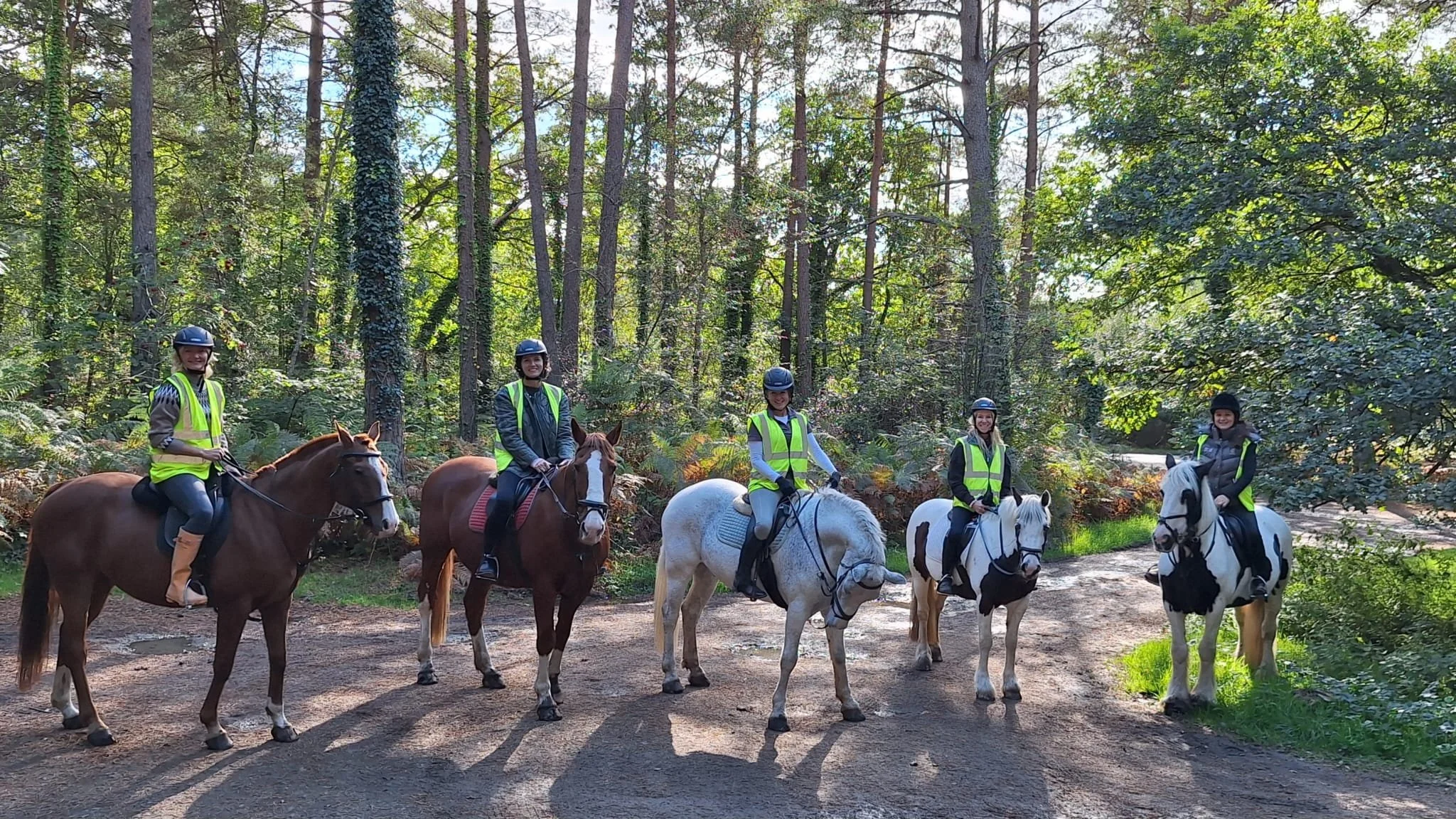 Horse Riding in South Downs National Park, West Sussex — Westerlands