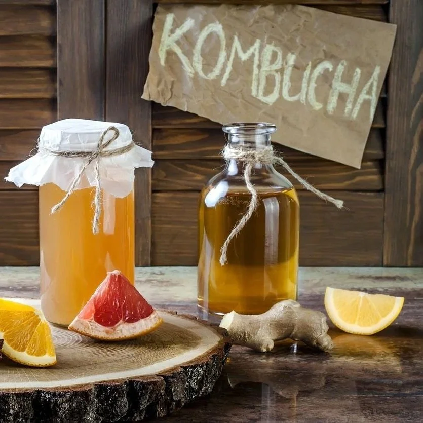WildRoots Talk: Understanding Kombucha: Fermentation, Myths &amp; Tips
