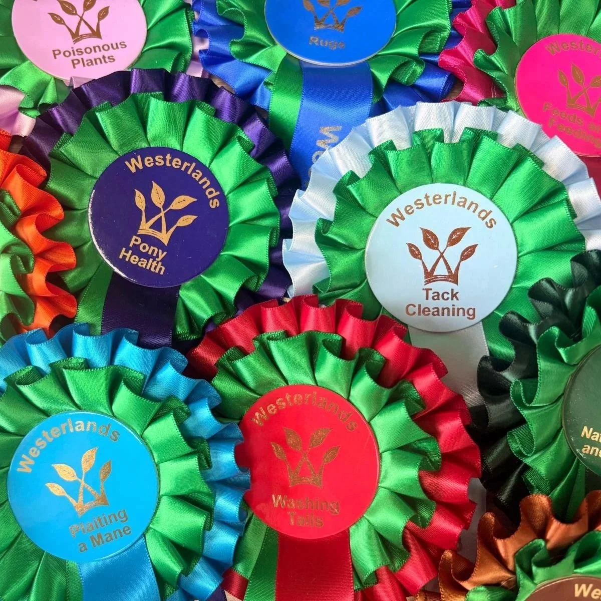 Horse Rosette Awards