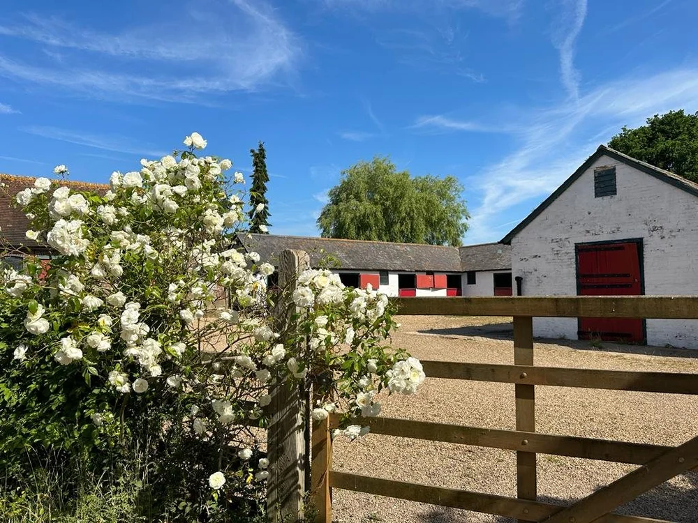 Horse Riding in South Downs National Park, West Sussex — Westerlands