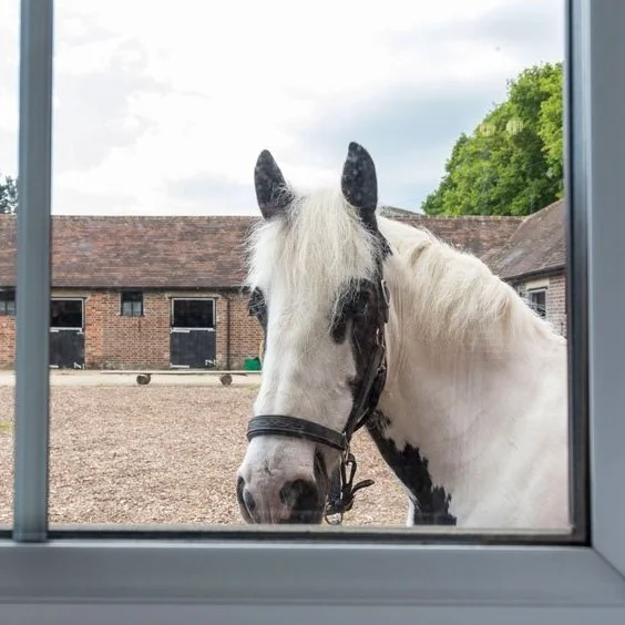 EQUESTRIAN ESCAPES (Copy)