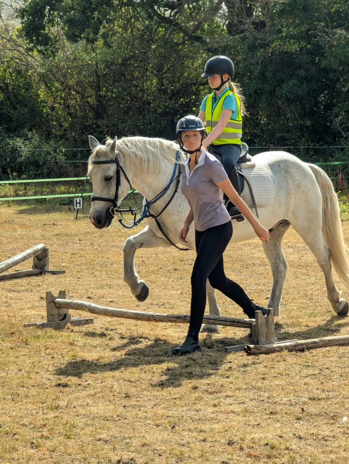 westerlands-equestrian-team-abi-camp.jpg