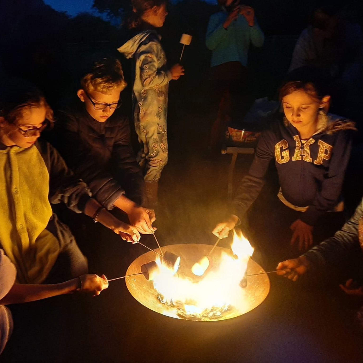 westerlands-pony-camp-fire.jpg