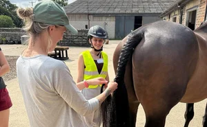 Horse Riding in South Downs National Park, West Sussex — Westerlands