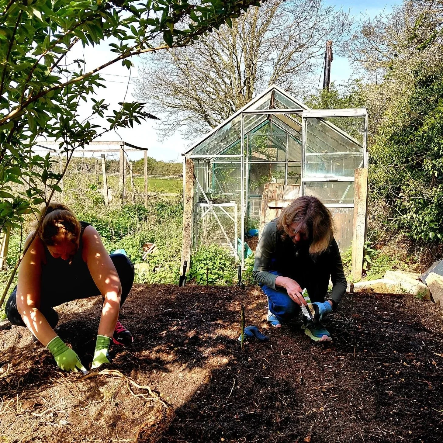 National Gardening Week at Westerlands