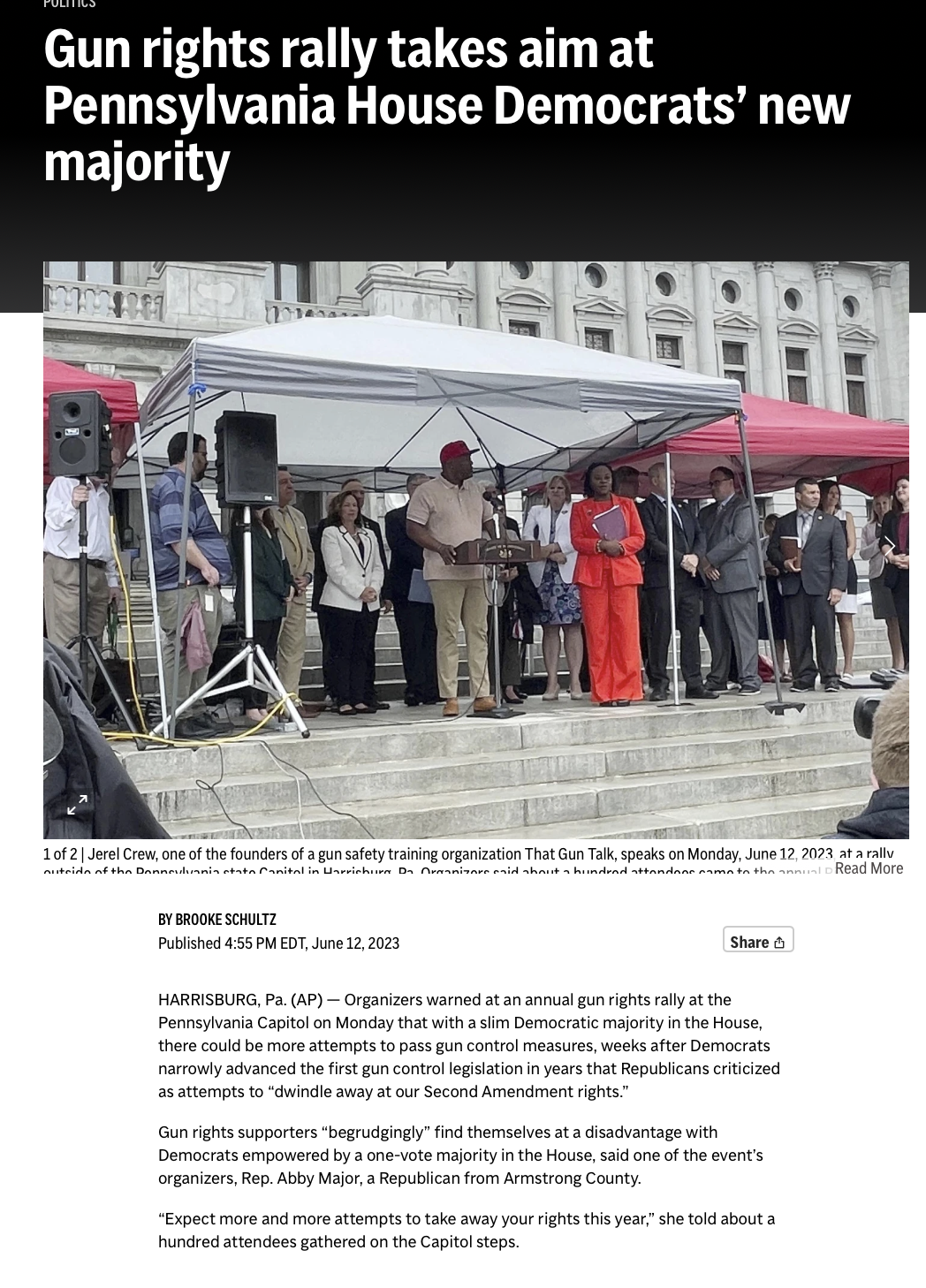 AP article on Gun rights
