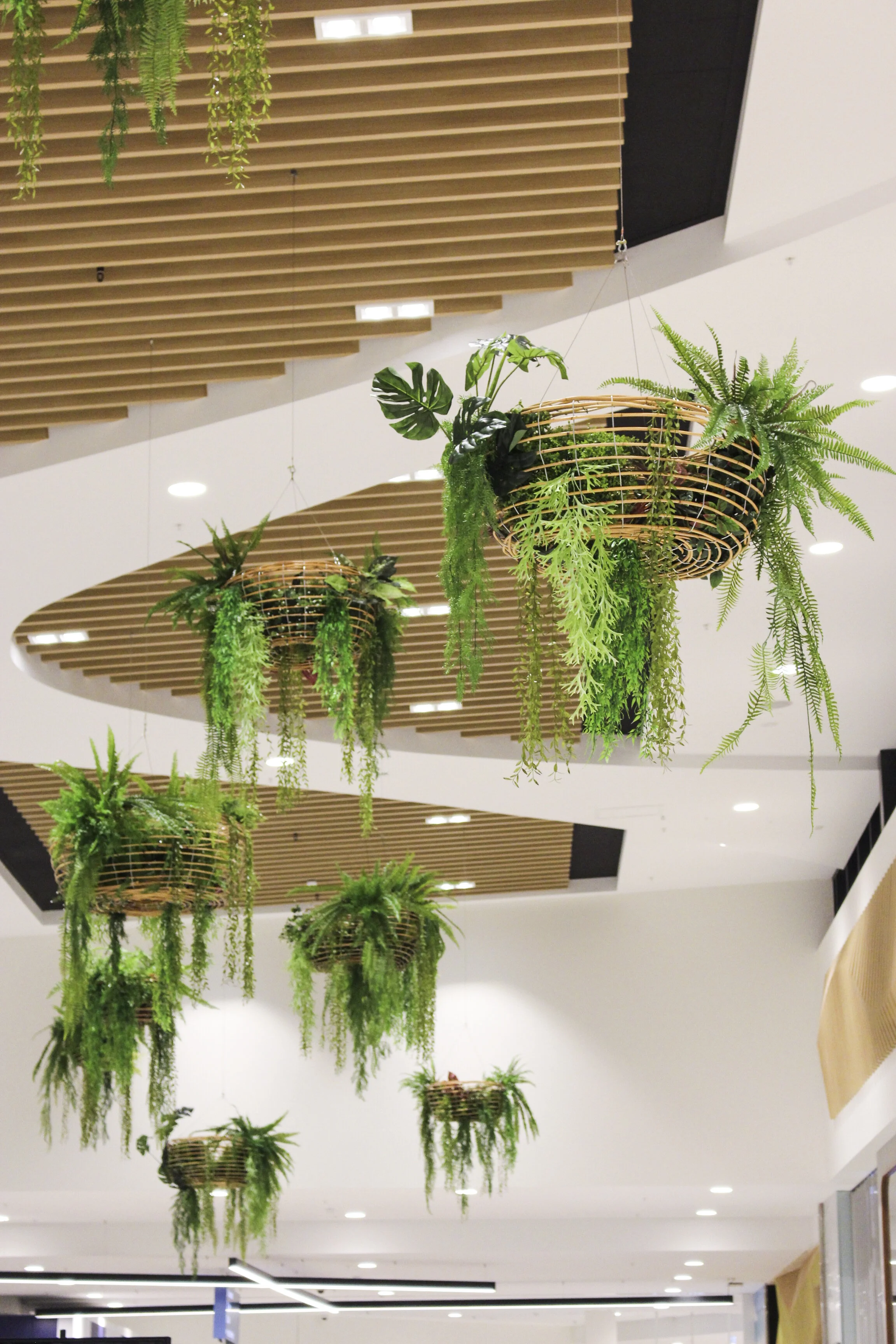 Hanging baskets in a shopping centre in Perth. Baskets and suspension system made by 'The Lobster Shack'. Design by 'Visual Inspirations Australia'.