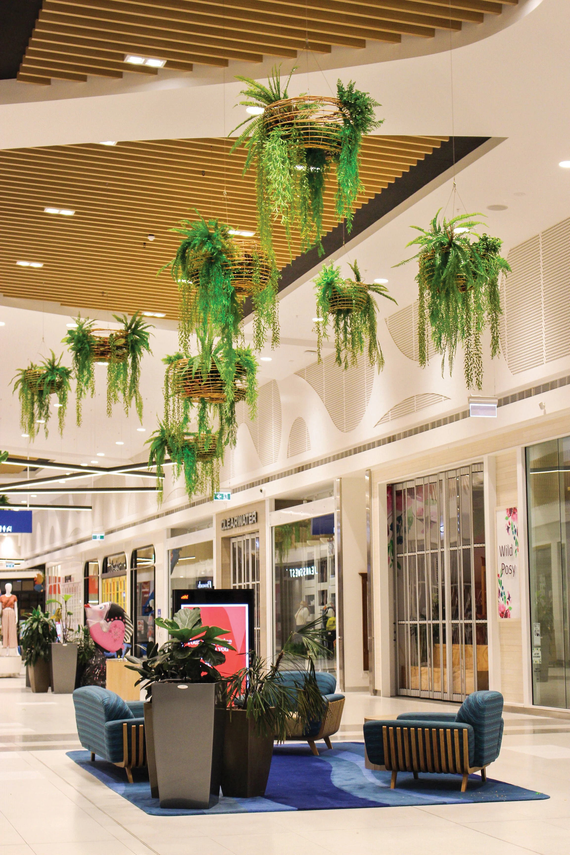 Hanging baskets in cane with stainless steel suspension system.