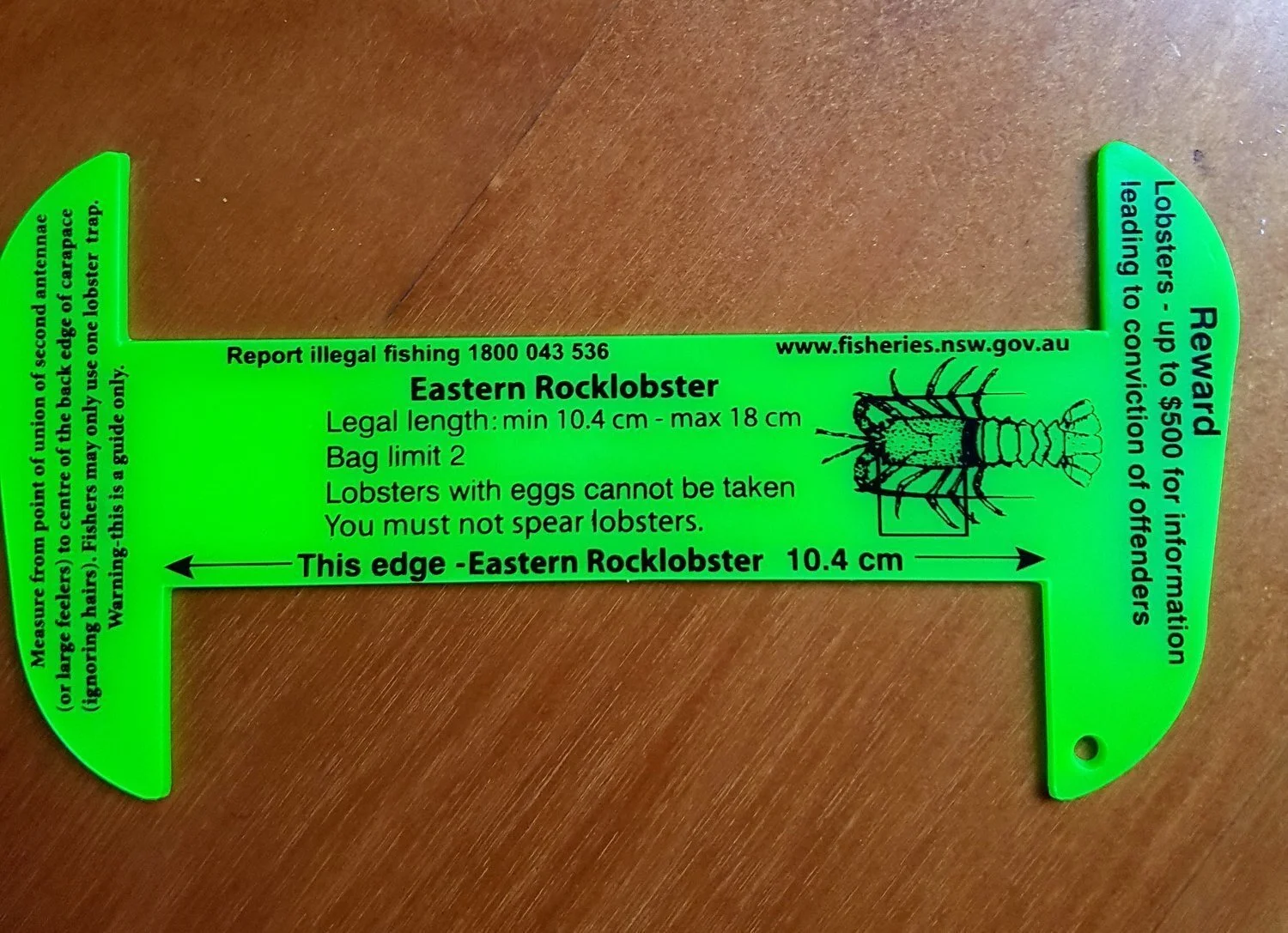 972137435.jpg