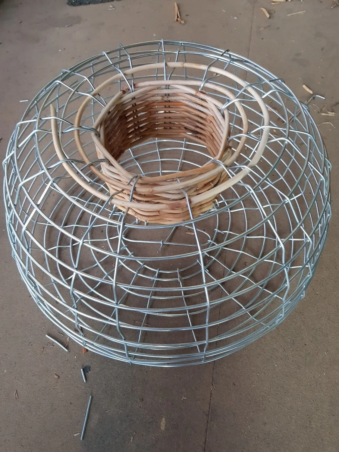 Steel-body cane neck Lobster Pot