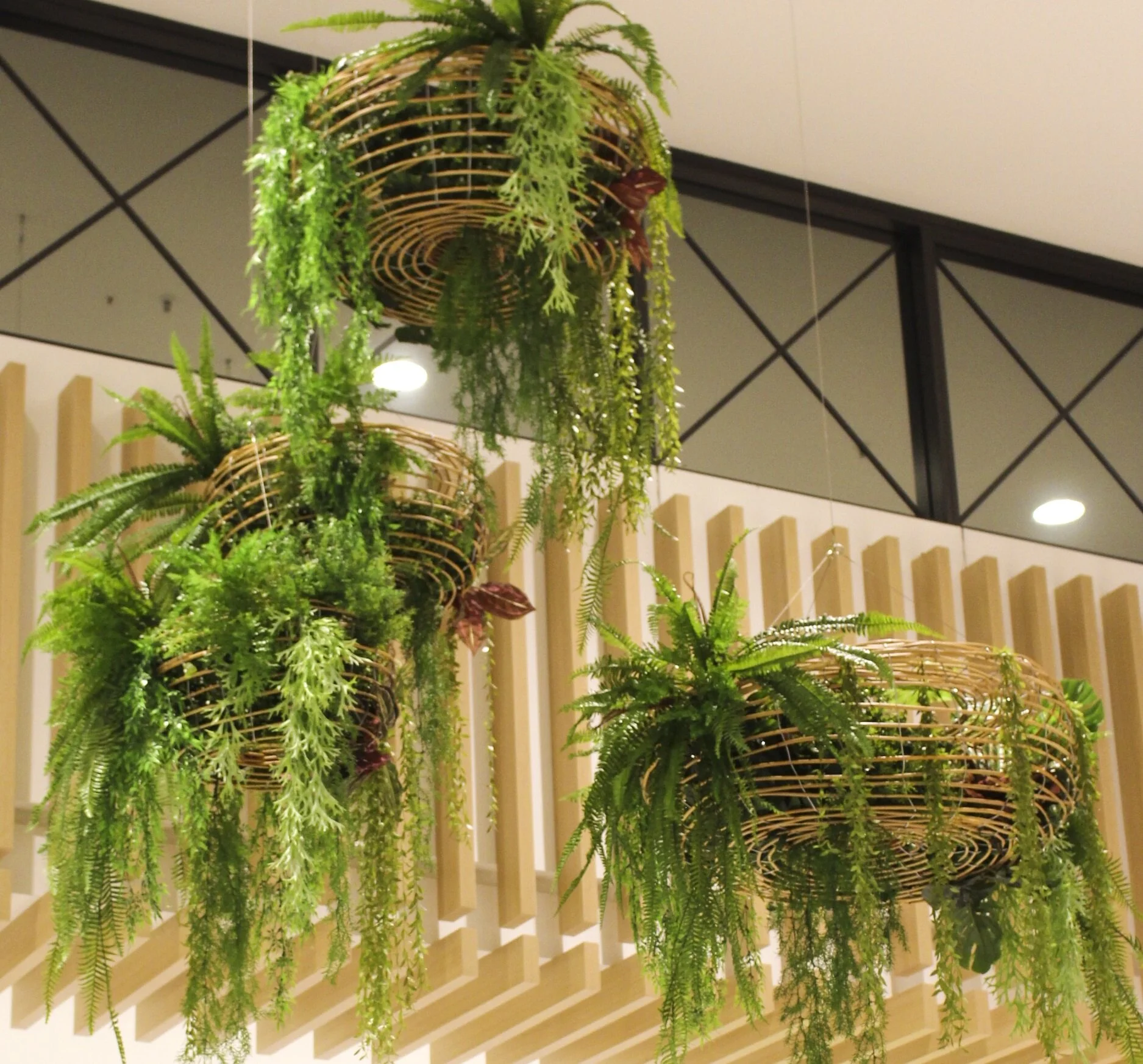 Hanging Baskets with Suspension Cables