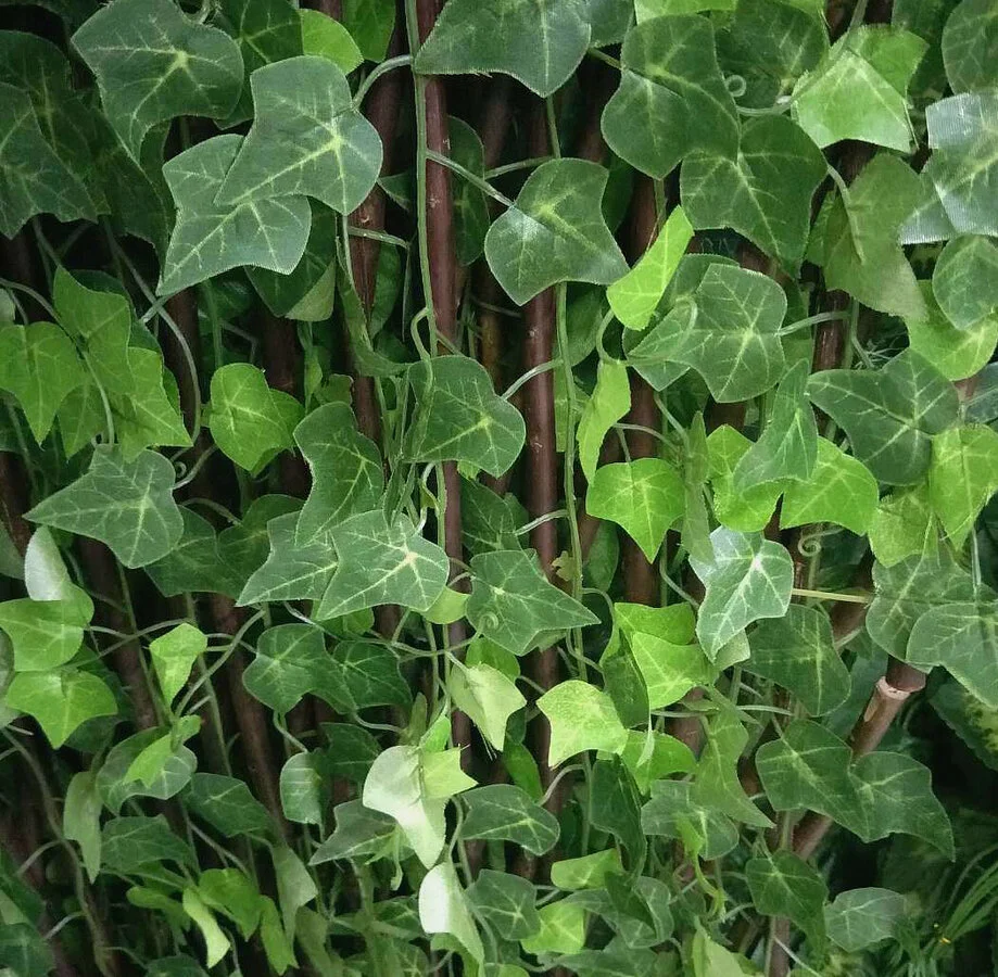 Hanging Sweet Ivy Leaves (Artificial foliage)