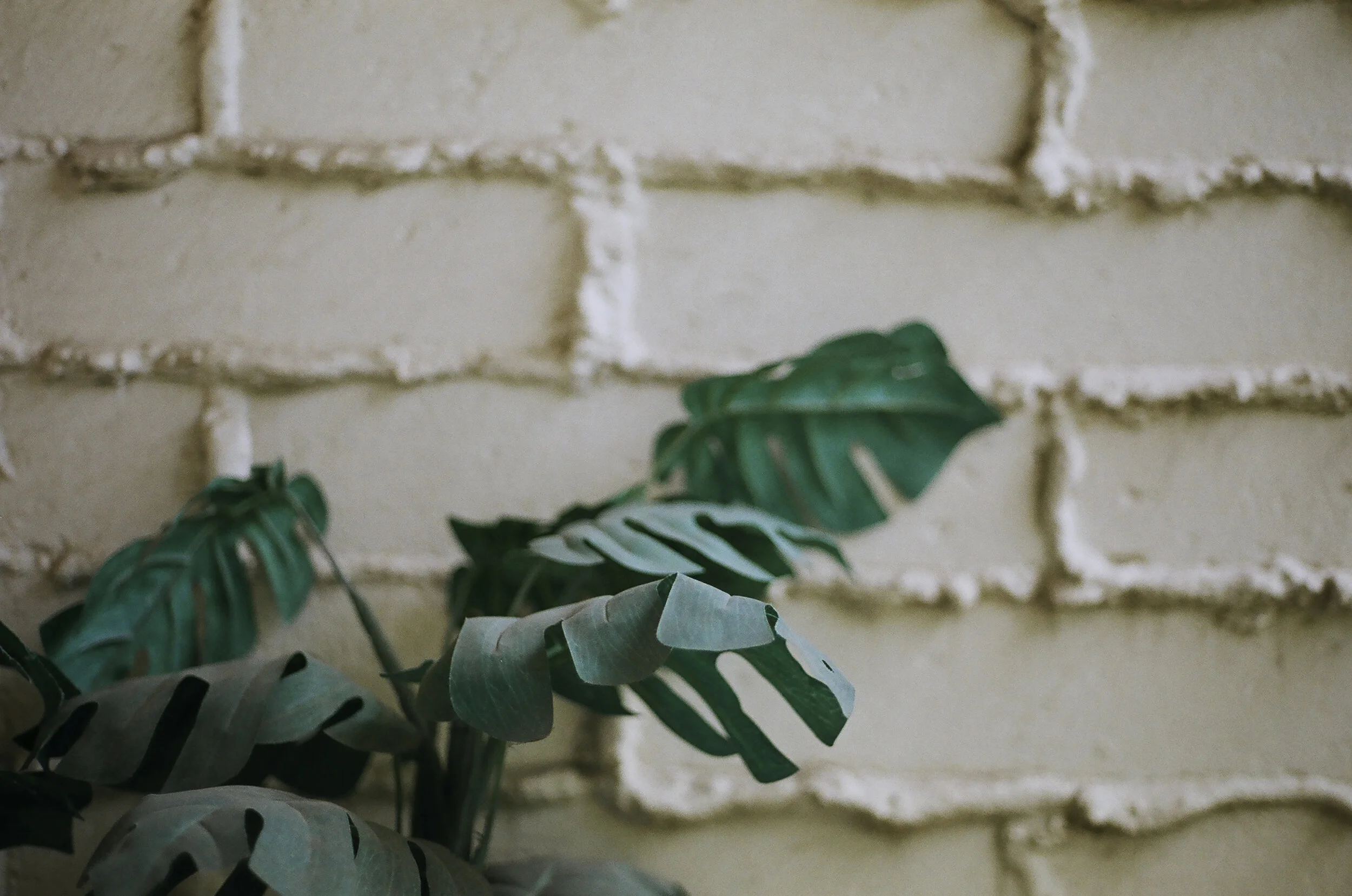 Beautiful artificial plants available to turn your lobster pot into a hanging garden.