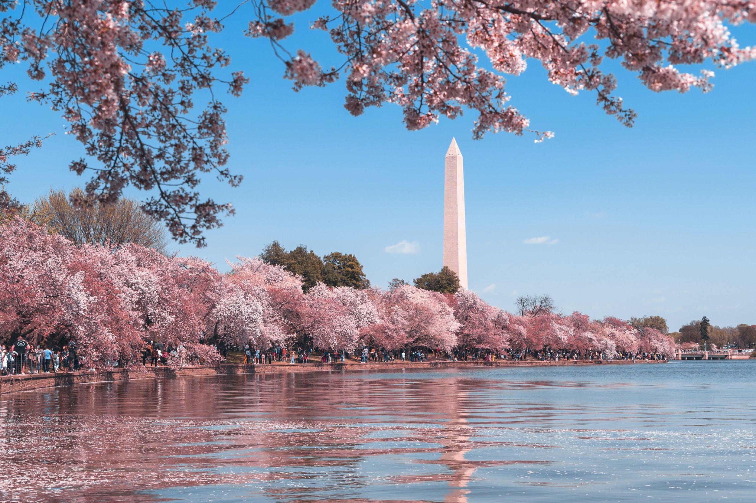 WASHINGTON D.C. • JUNE 2021