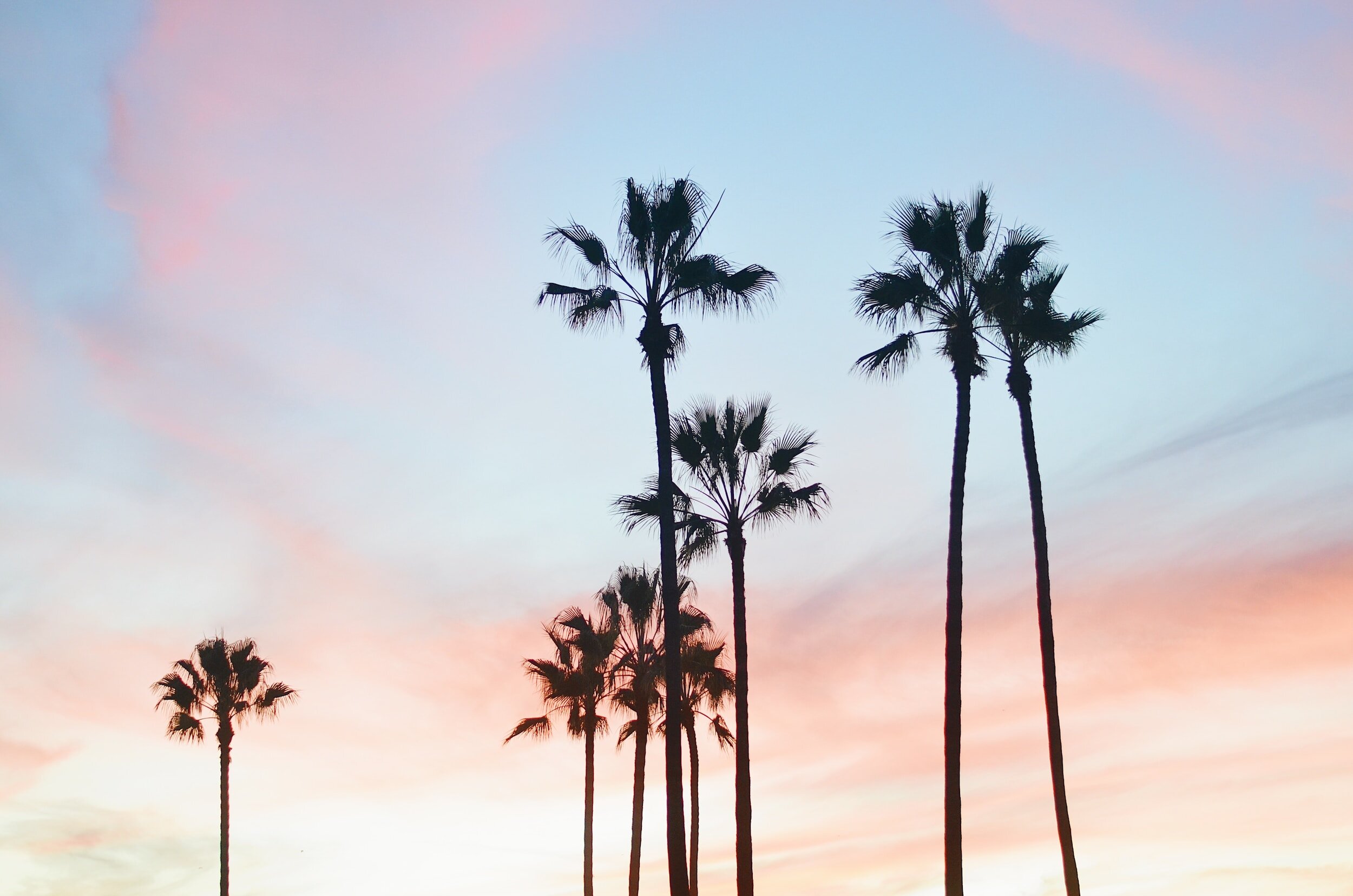 BEVERLY HILLS • AUGUST 2023
