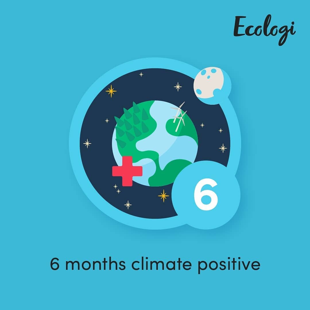 Ending the week on a high - Moonstone Games has earned its 'Six months climate positive' badge! Working with @Ecologi_hq we've been able to support reforestation projects all over the world and long may it continue 🌳🌴🌲⁠
.⁠
.⁠
.⁠
.⁠
#Ecologi #clima