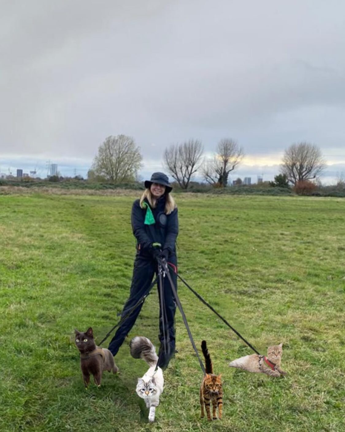 I&rsquo;m excited to announce that I have added group cat walks to my services. 
Cats will be walked in groups of maximum 4 cats per walker for safety reasons and this service can only be offered to felines in the Lower Clapton area. 
Please visit th