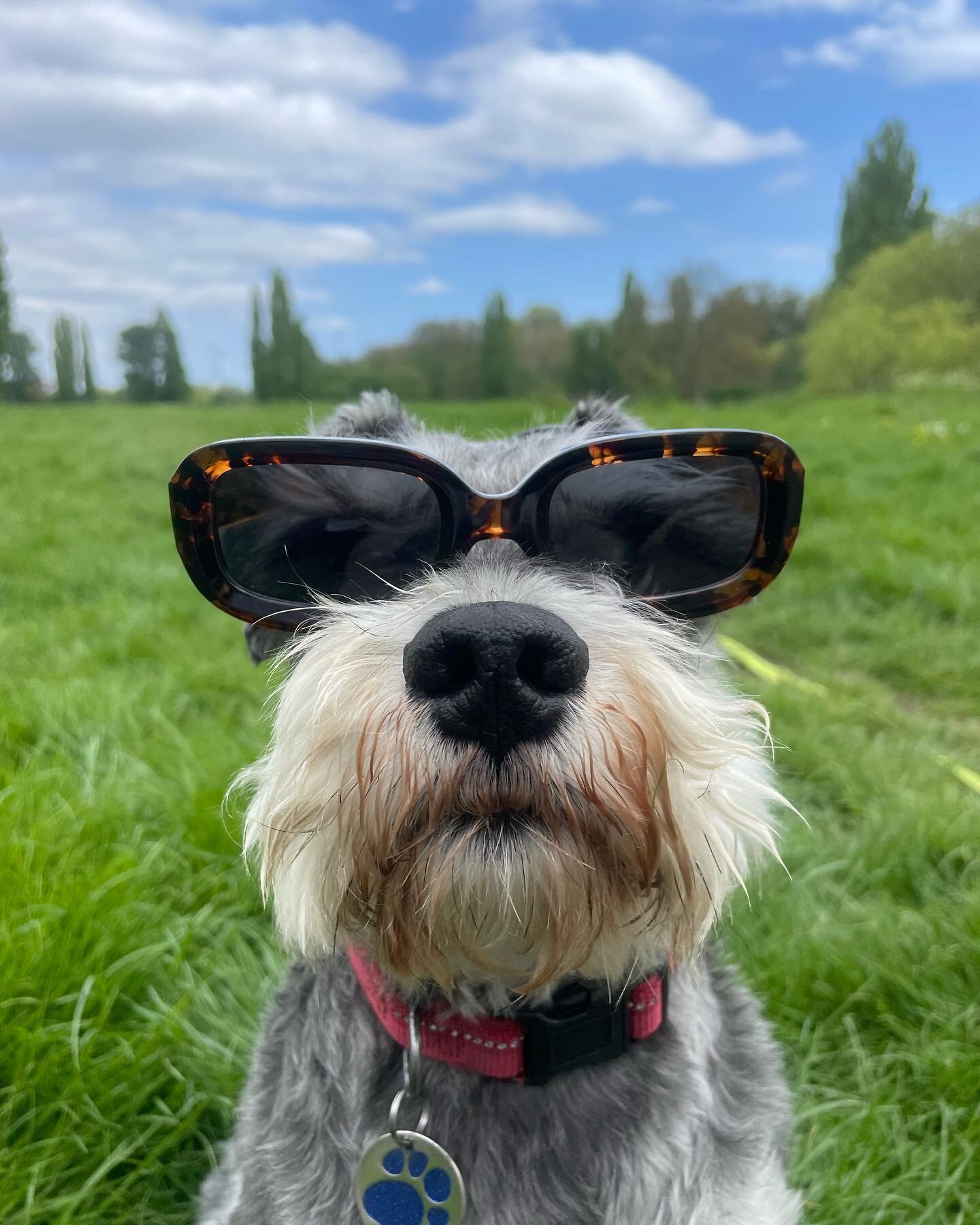 Blocking out the haters ✋🏼