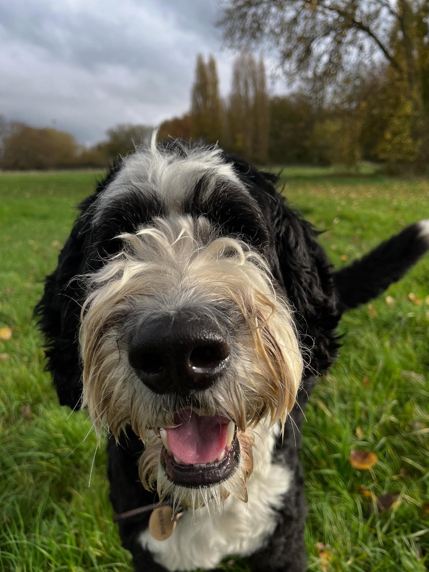 Happy Friday. Have a great weekend ahead ❤️