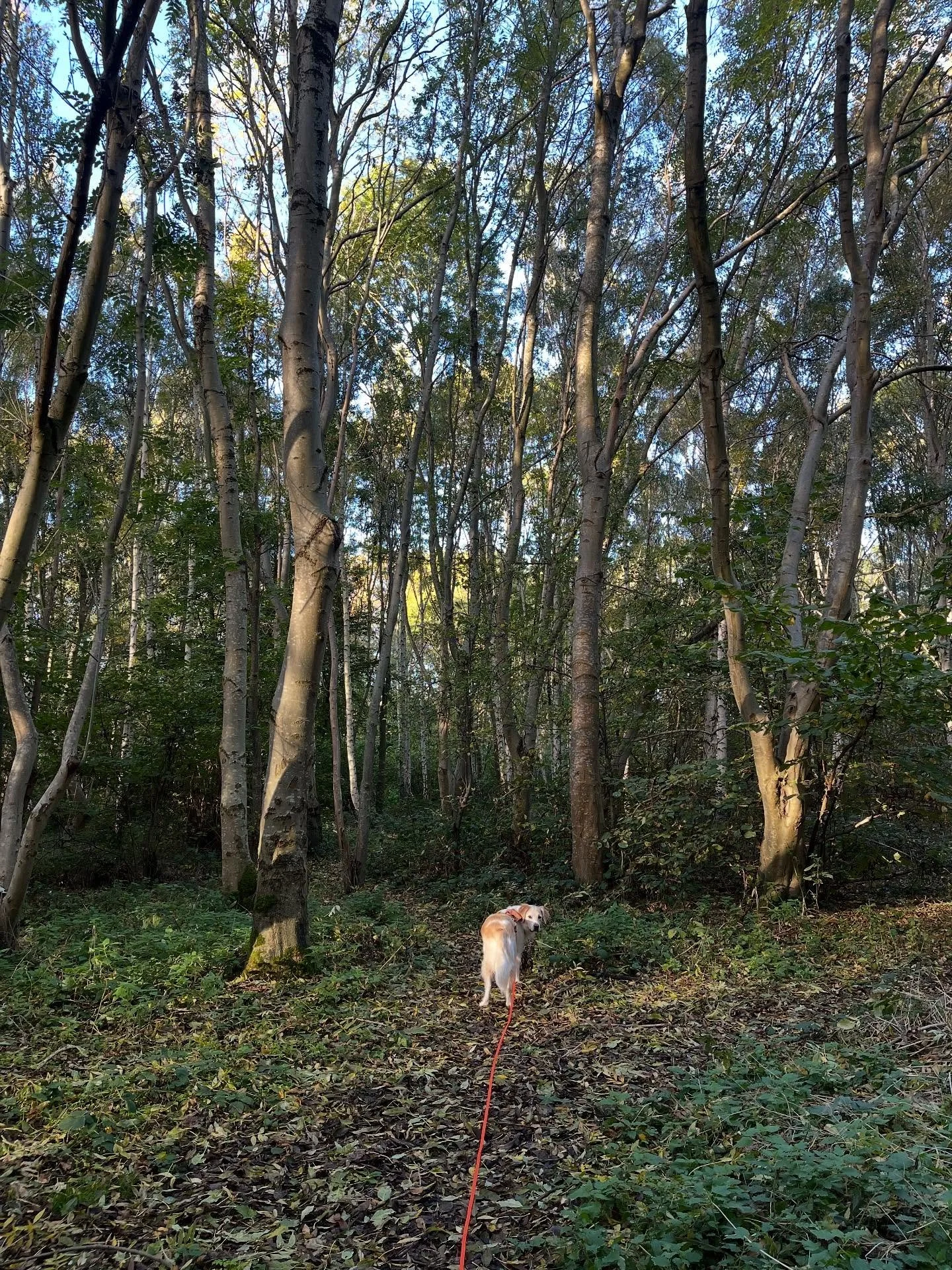 Always the best start to the day 🍜 ☀️