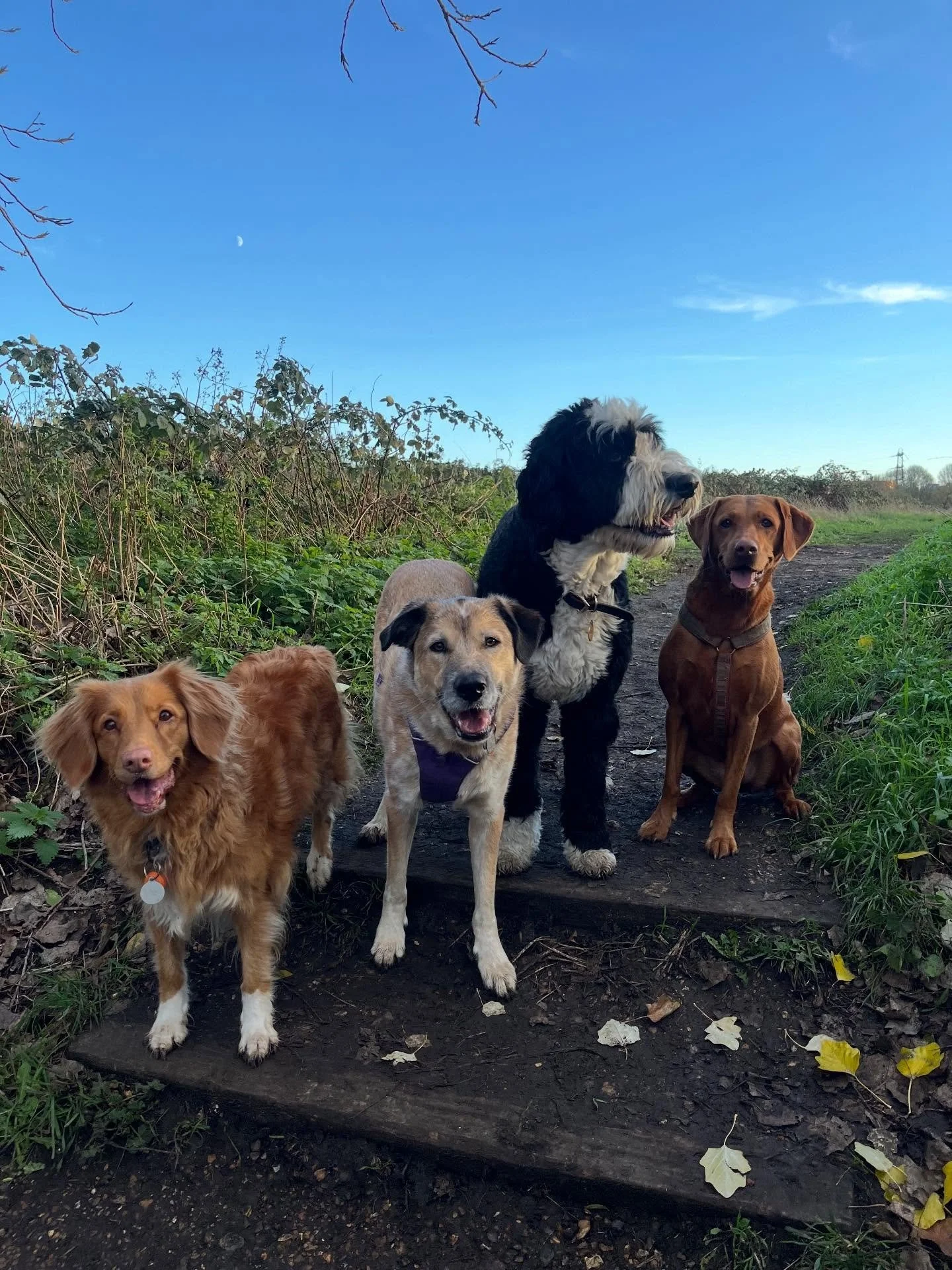 How many failed attempts did it take to get this shot? 😂❤️