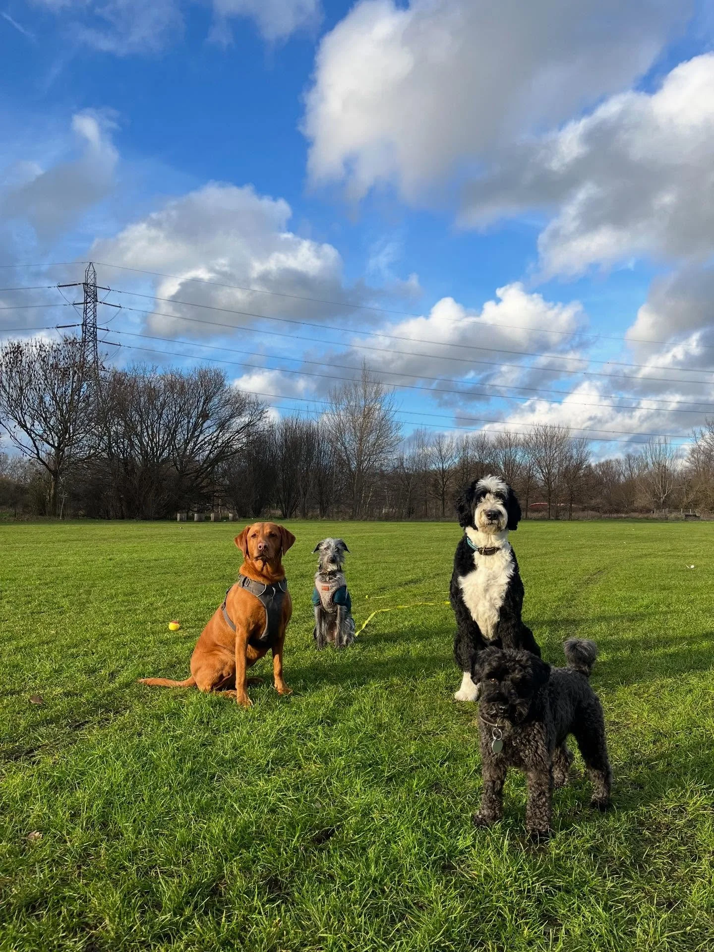 Ending the week with some much needed sunshine ☀️. Swipe right for Twig&rsquo;s cheeky 👅