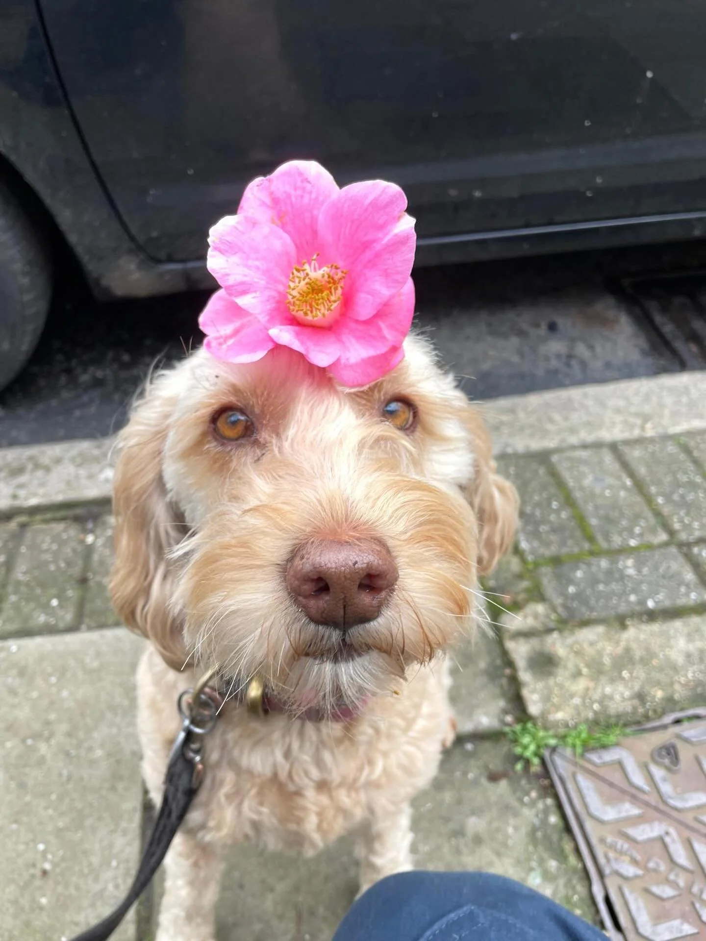 Happy Friday, stay cute 🌸
📸 @we.good.boys