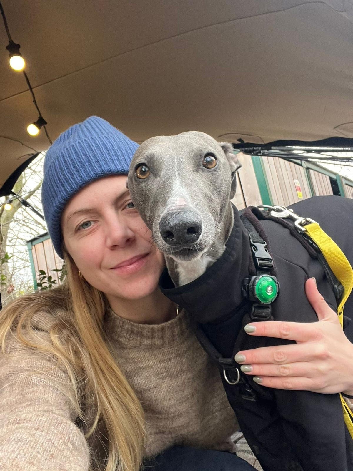 A woman wearing a blue knit hat and a beige sweater taking a selfie with her dog, who is wearing a black harness with a green button, outdoors under a canopy with string lights.
