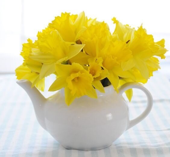 white pitcher