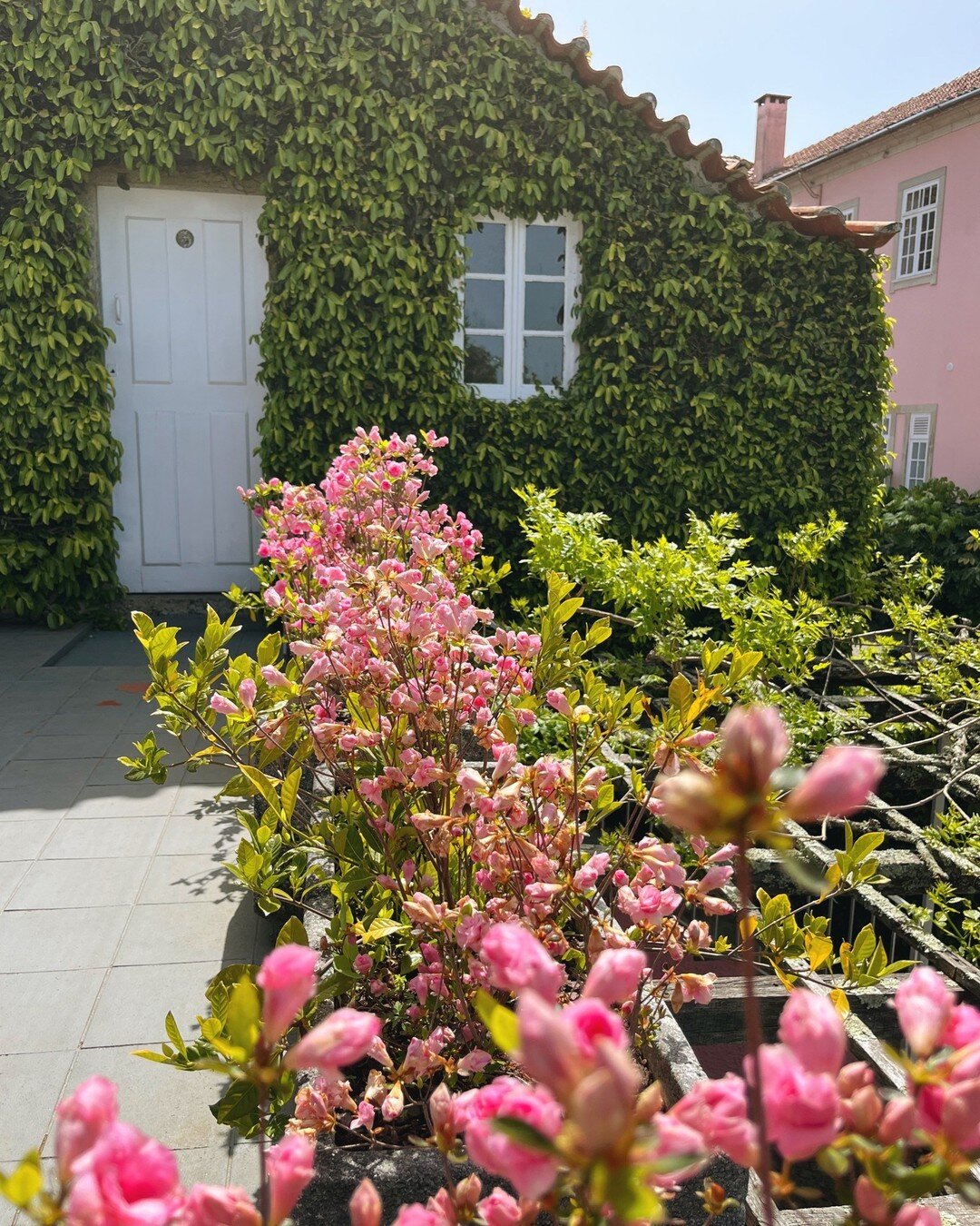 Summer pink vibes from pink paradise!

Enjoy a vacation with us 😎
.
.
.
#PalaceteRosa #Aveiro #Portugal #eventspace #pinkmansion #summer2022 #summervibes  #weddingvenue #vacations #guesthouse #destinationwedding #millenialpink #portugueseweddings #w