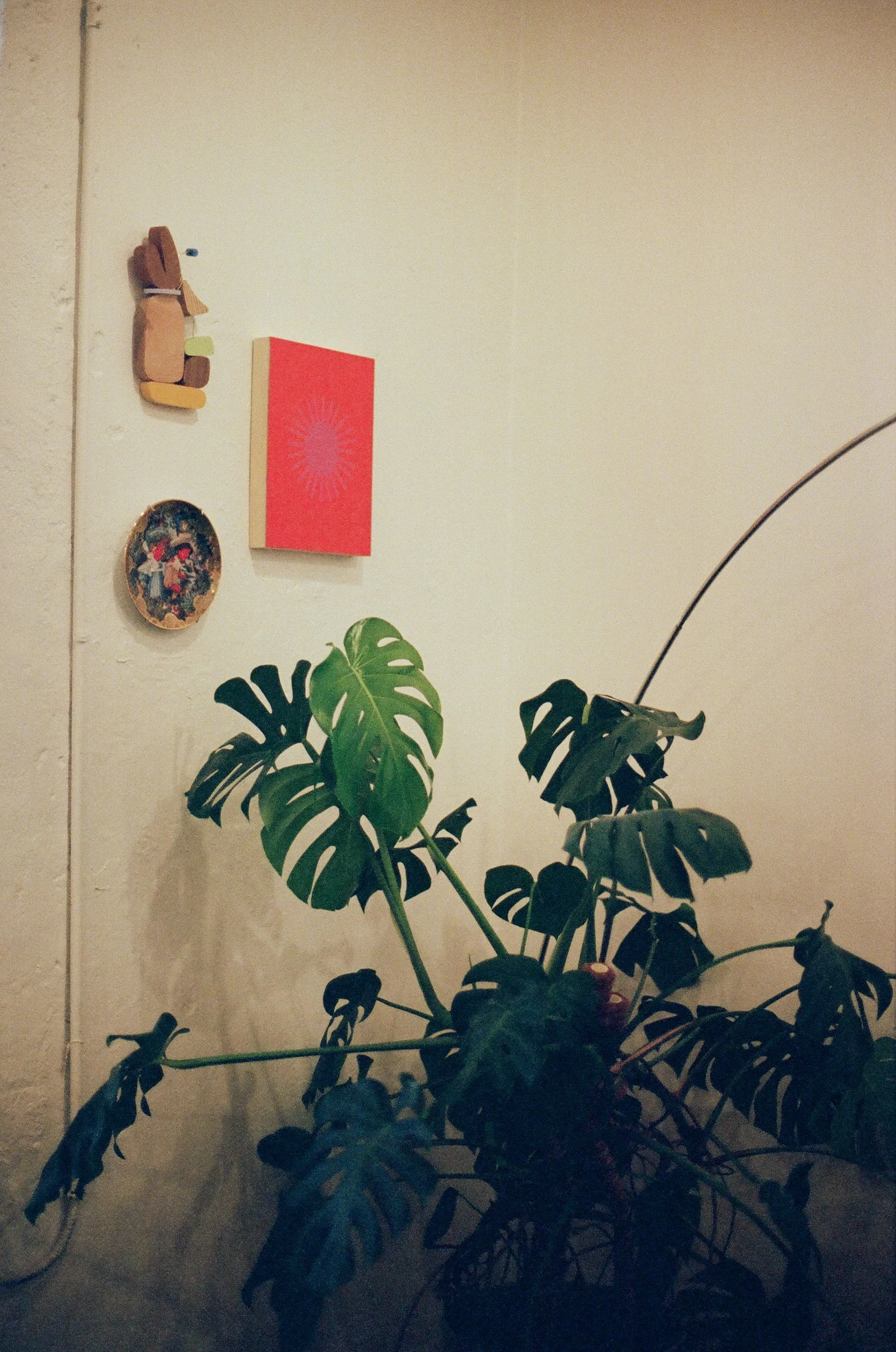 Alyssa Low Studio Visit Portra 400 Mar 15 (1).webp