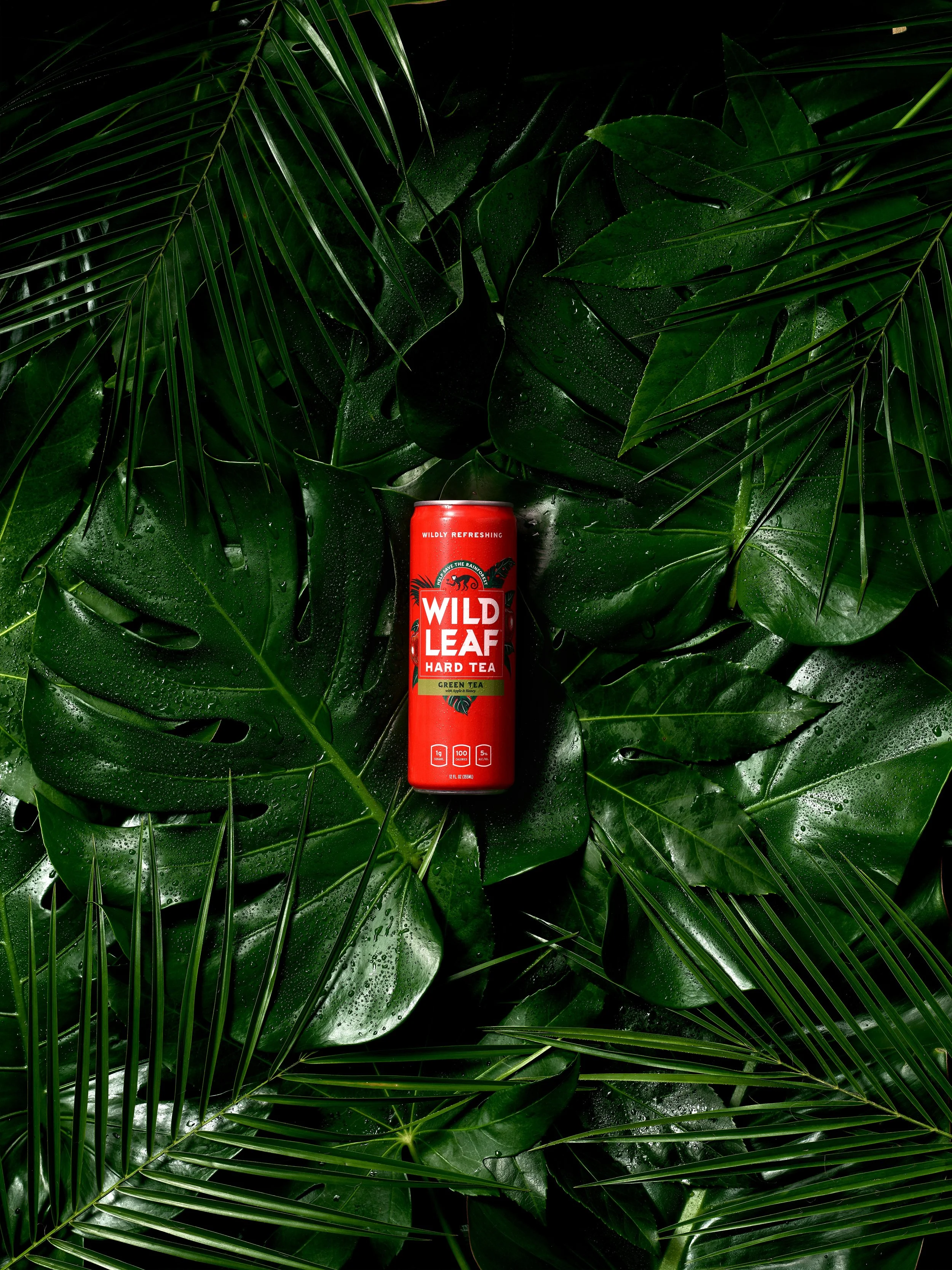 WildLeaf_GreenTea_Overhead_v4.jpg