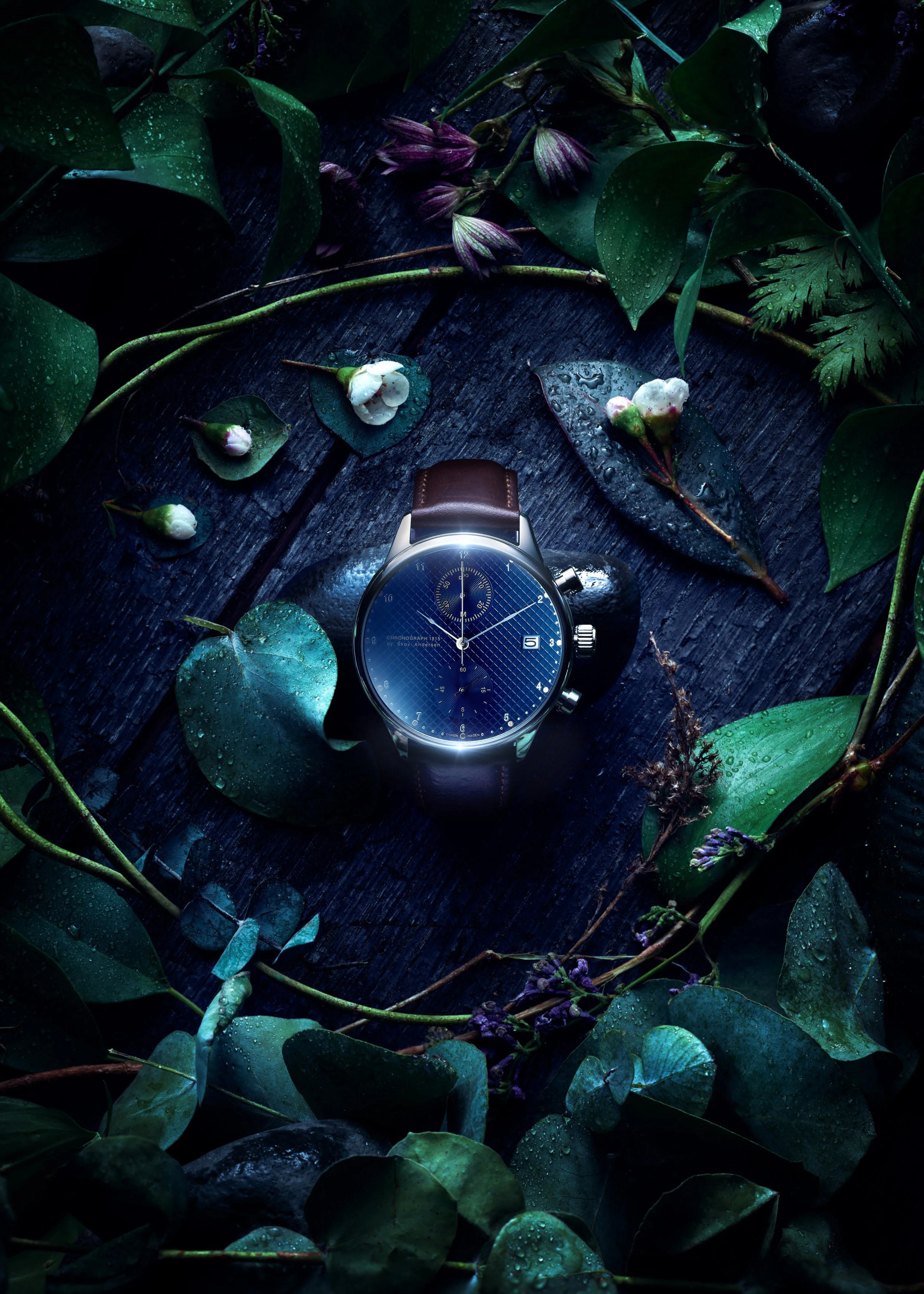 Luxury wristwatch with brown leather strap surrounded by green foliage and small flowers on a dark surface.