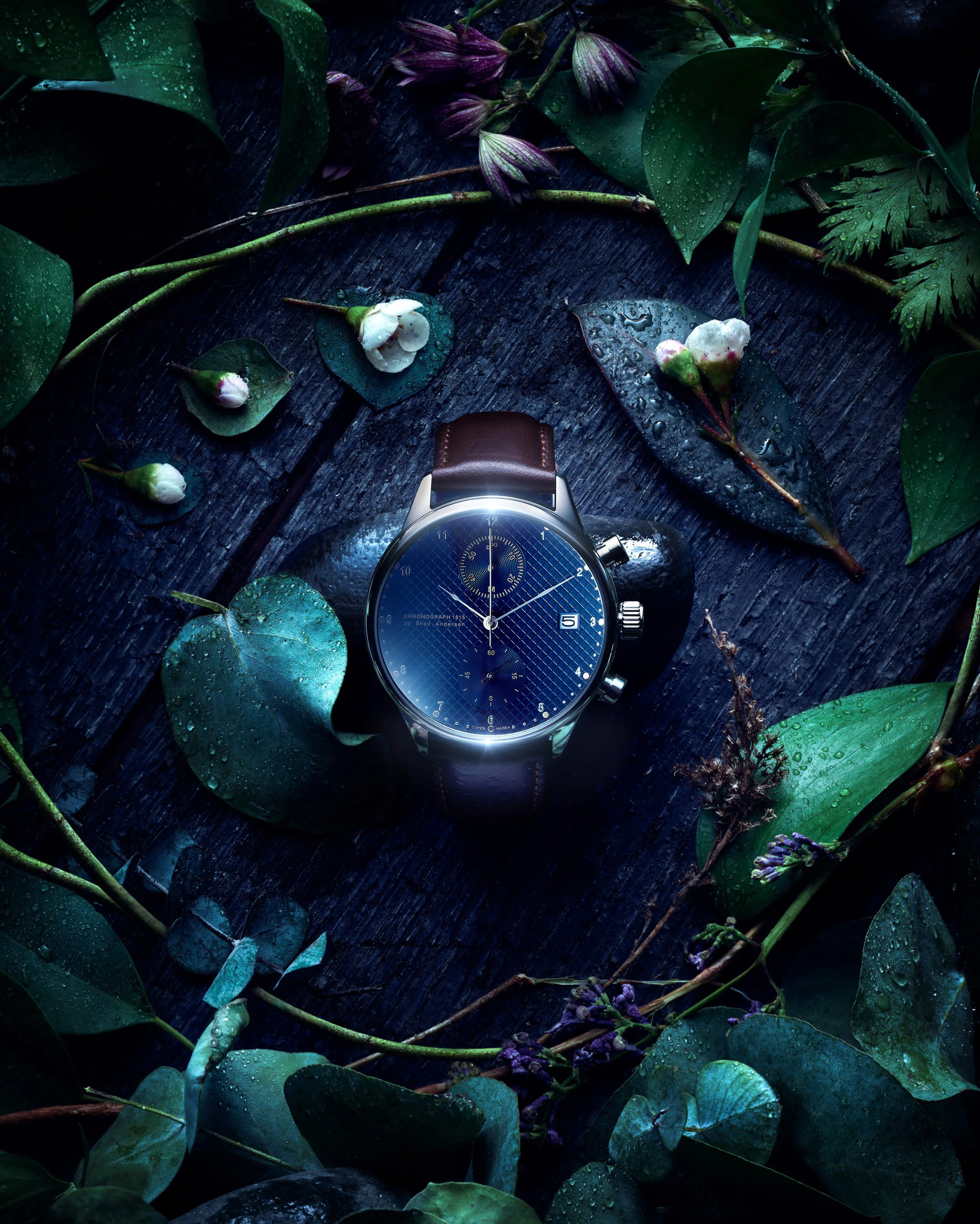 Time_Nature_Conceptual_v2_Web.jpg