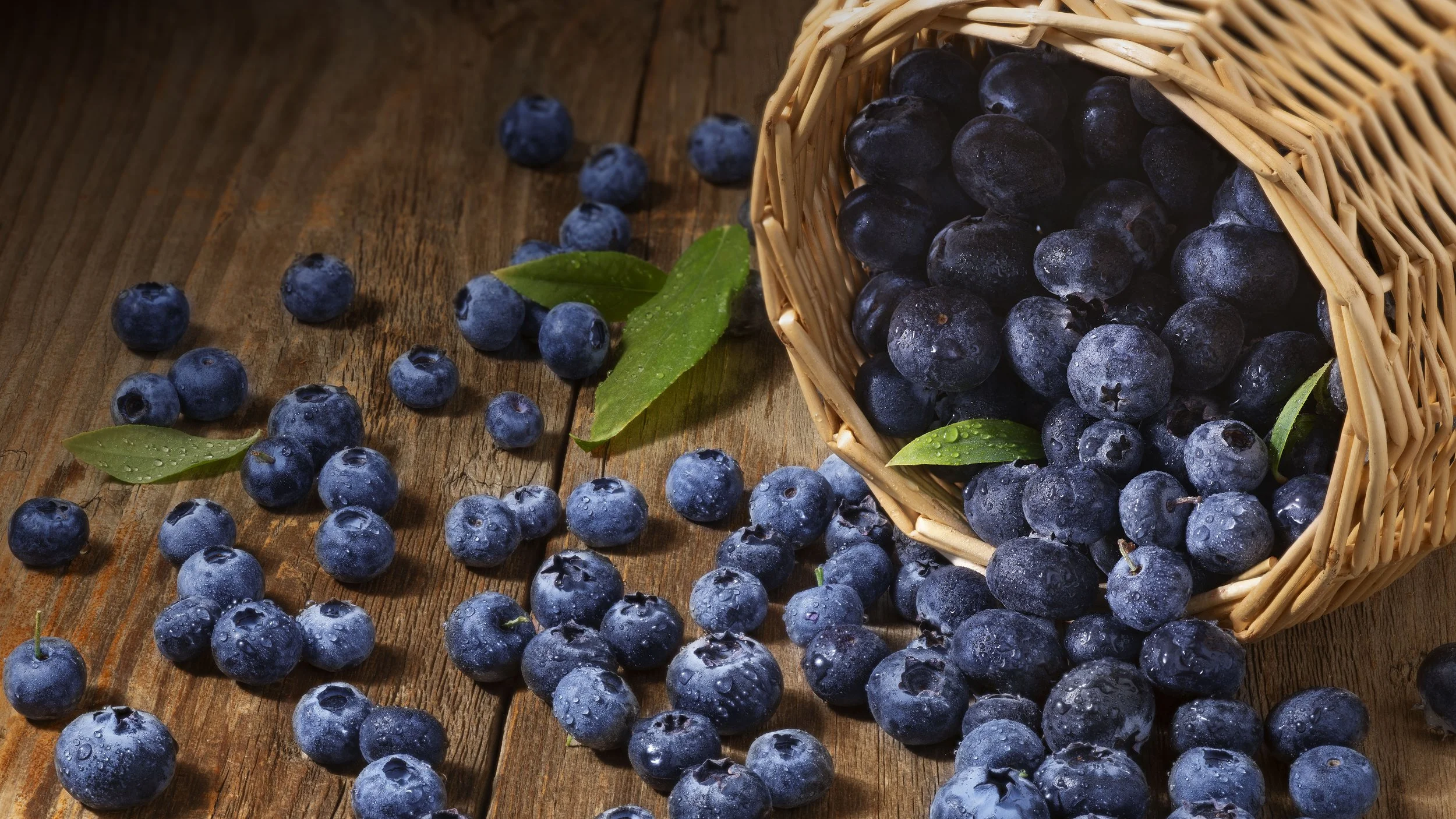 GMCR_Seasonals_WildMountainBlueberry_16x9.jpg