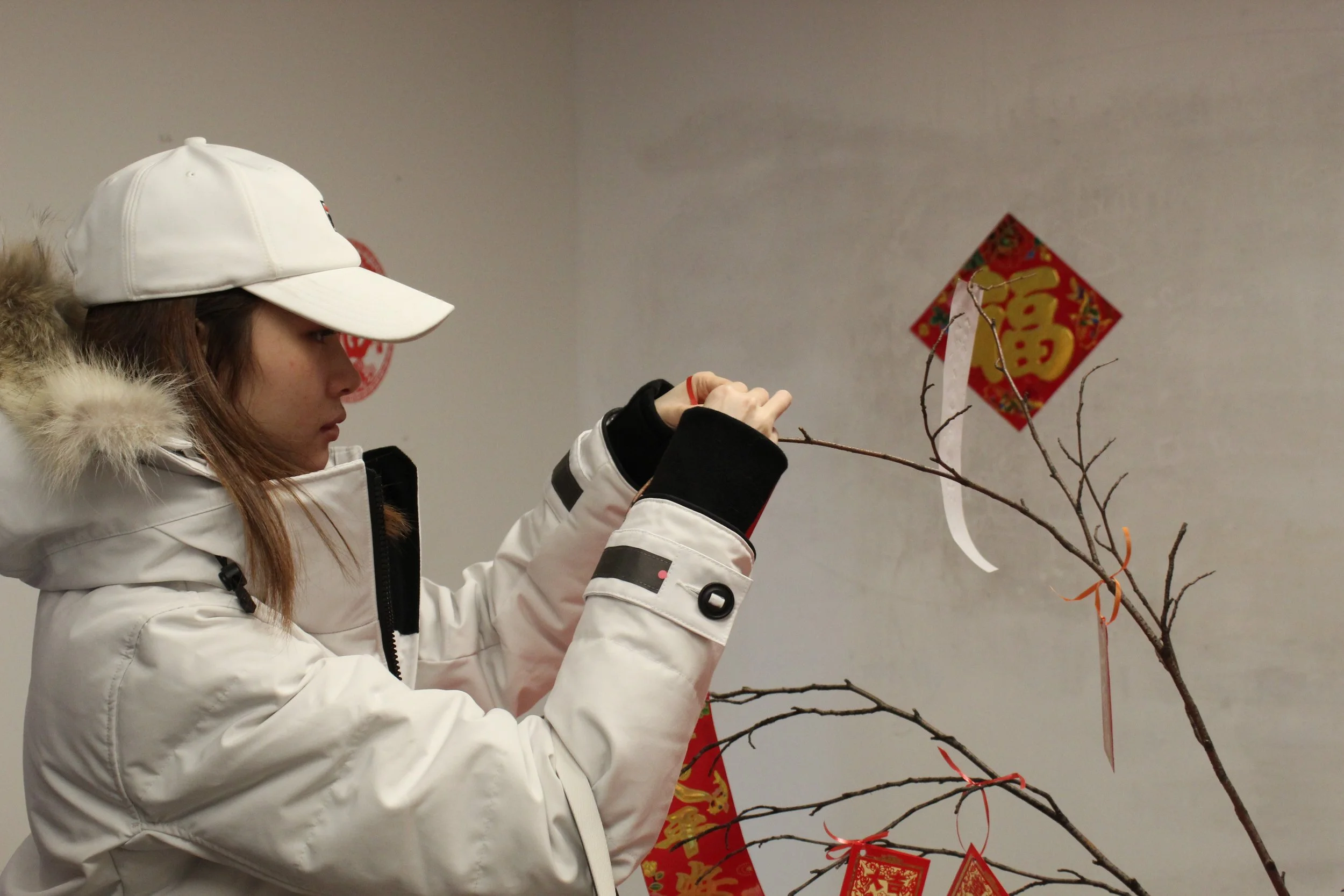 2020.02.02LYN9 Wish Tree.JPG