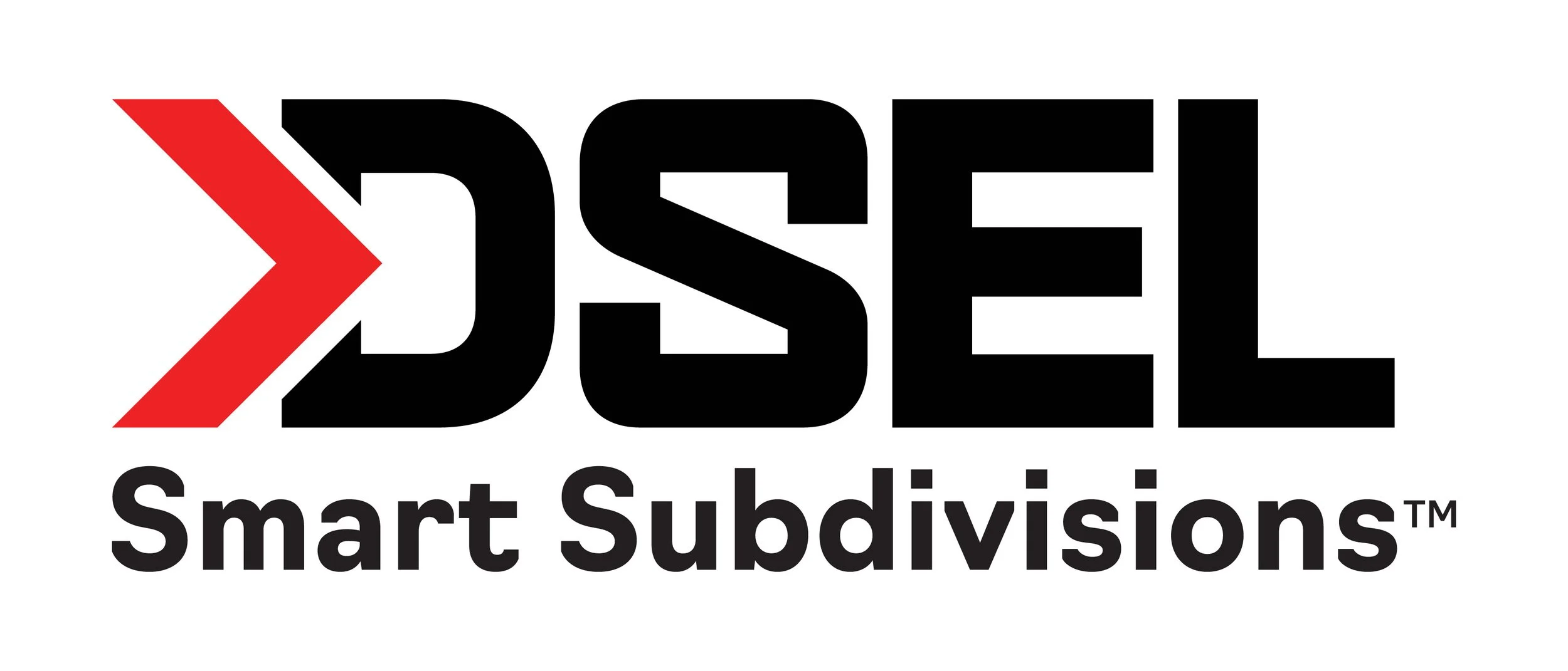 DSEL - Logo - CMYK.jpg