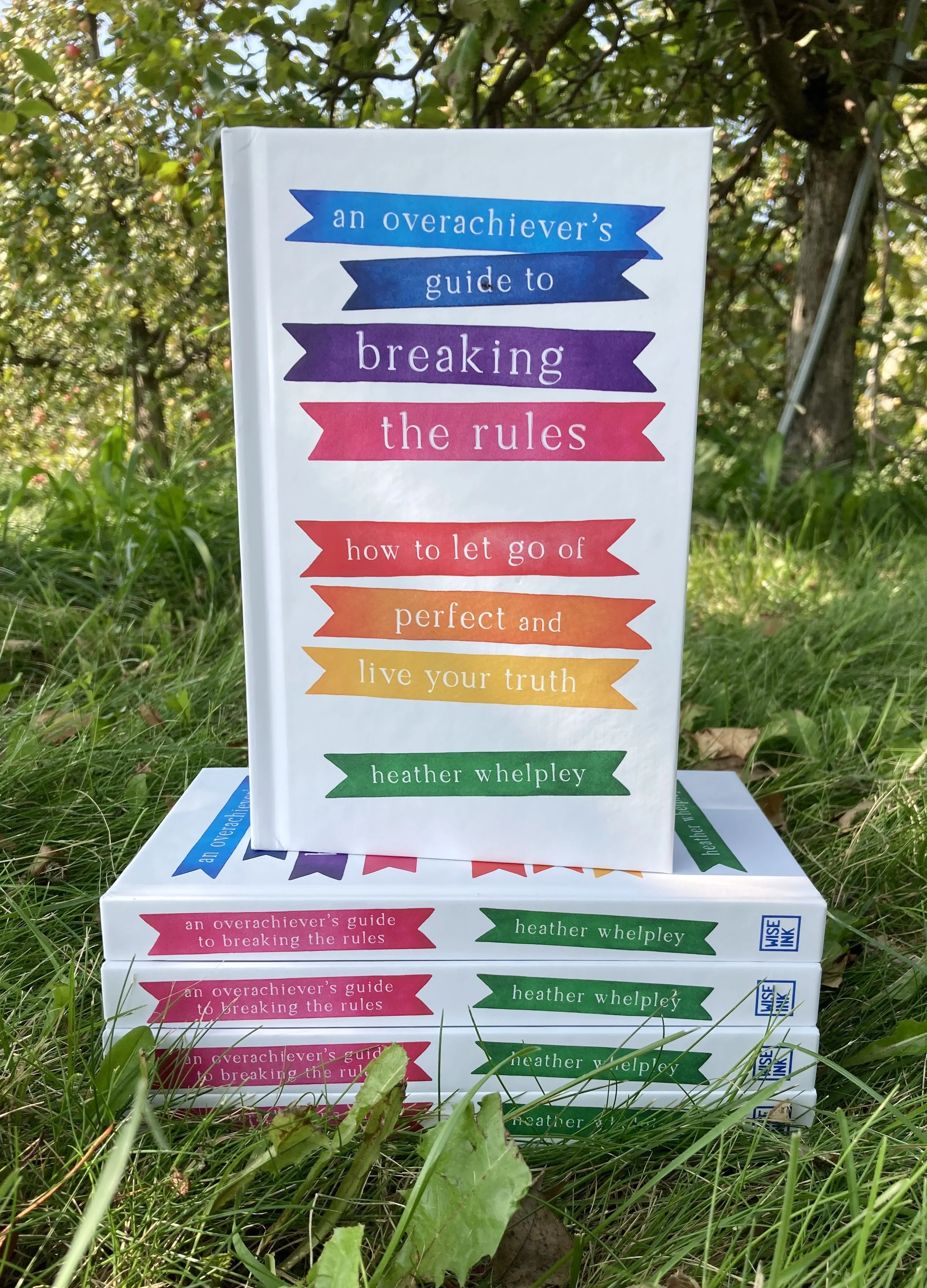 eBook: An Overachiever's Guide to Breaking the Rules