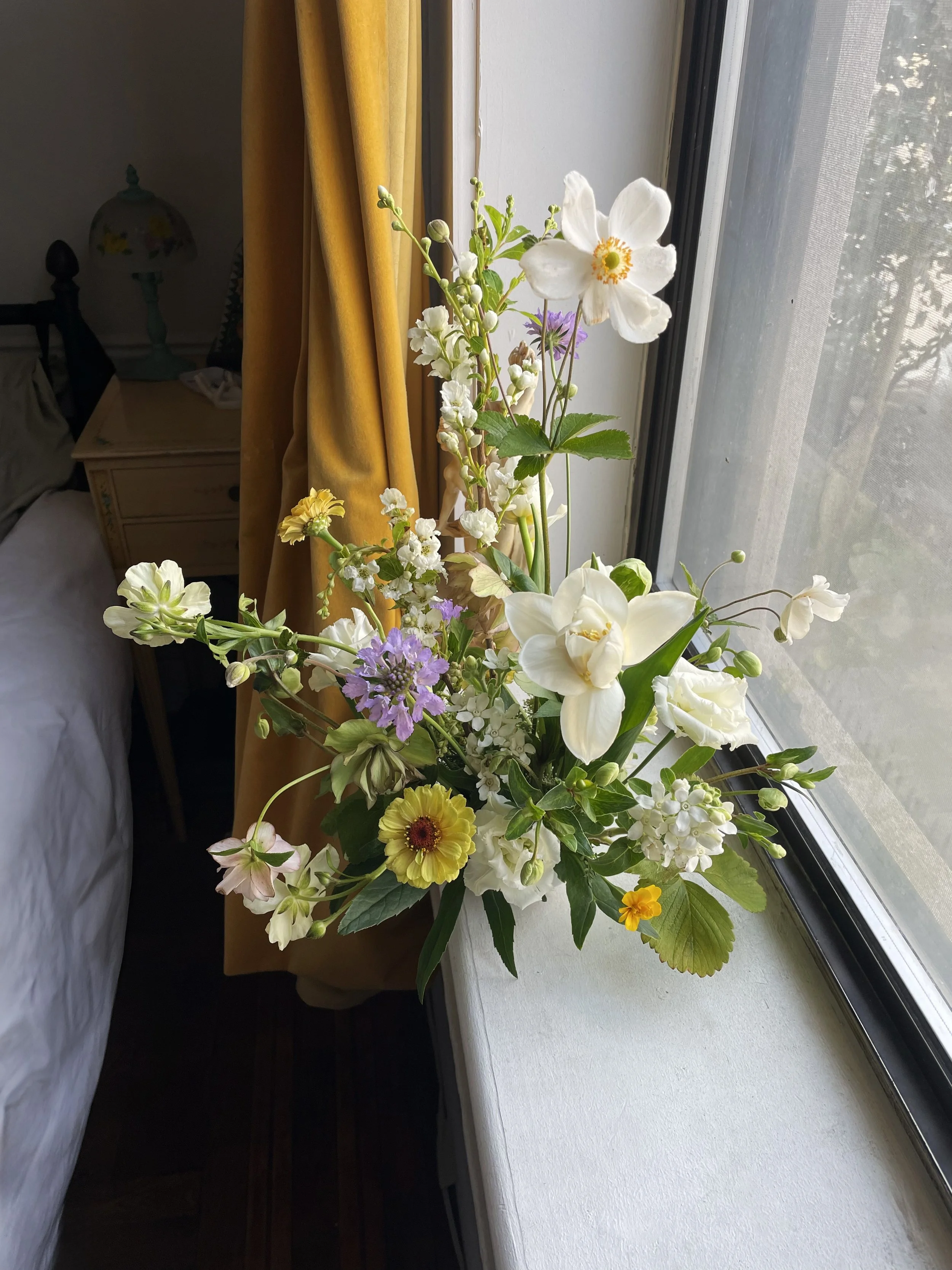 IMG_6354.jpeg