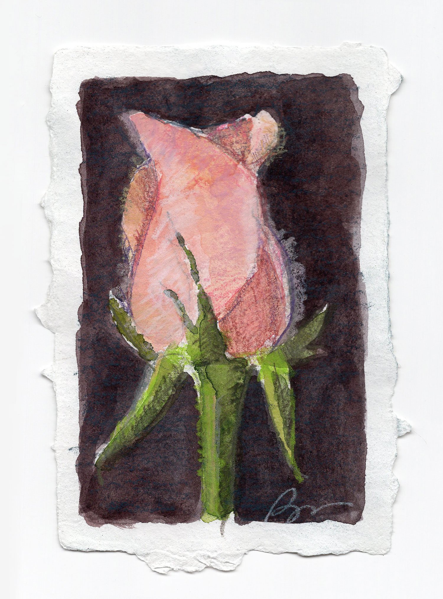 Pink-Rose-MM-On-Paper-April-2023-WEB.jpg