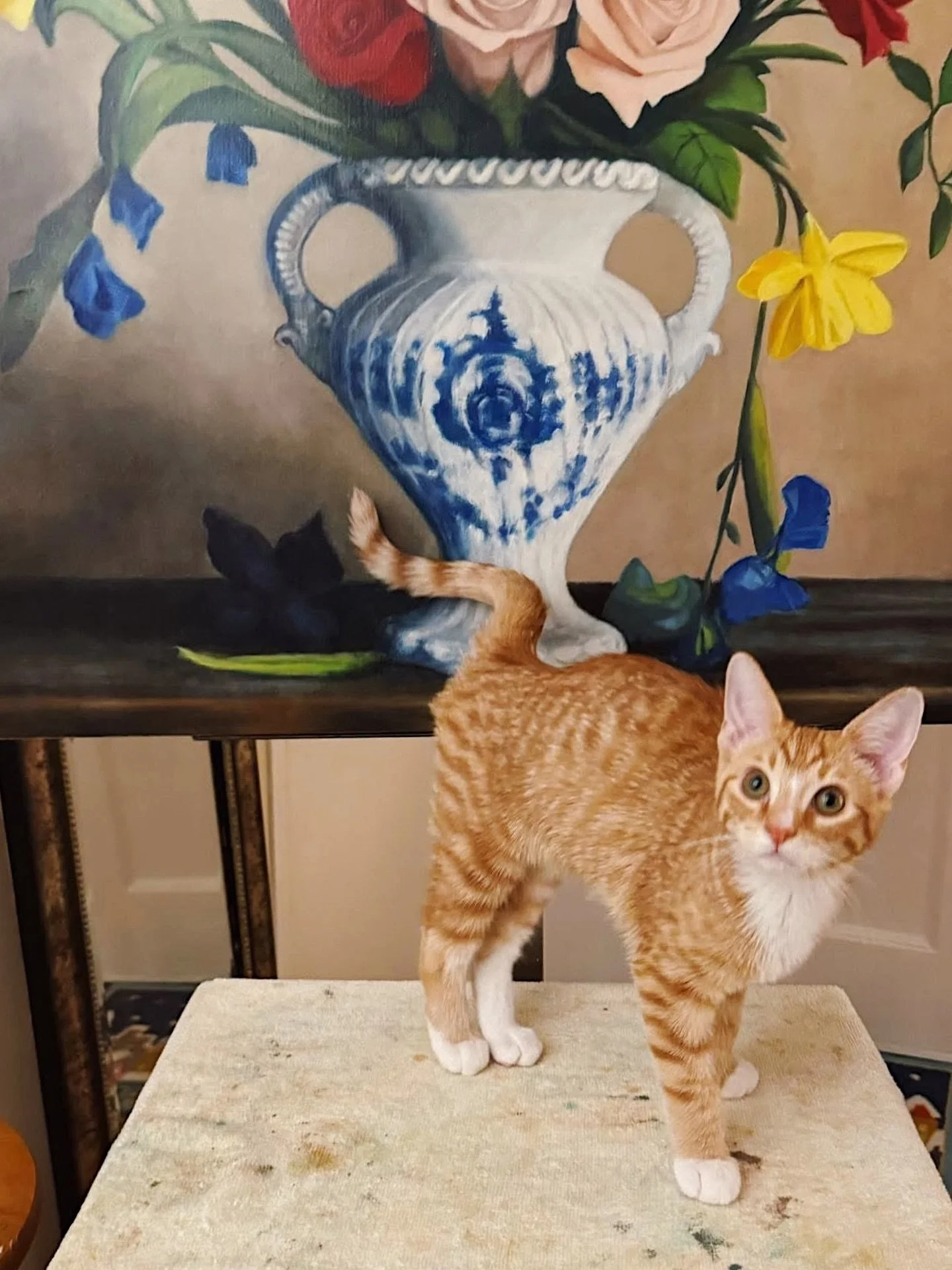 This week last year we adopted this beautiful boy, Georgie. So sweet, sooo curious, and seconds away from turning himself into a technicolor dream coat. That was the day I knew my painting from home era was over. 🧡❤️🩷💜💙🩵💛