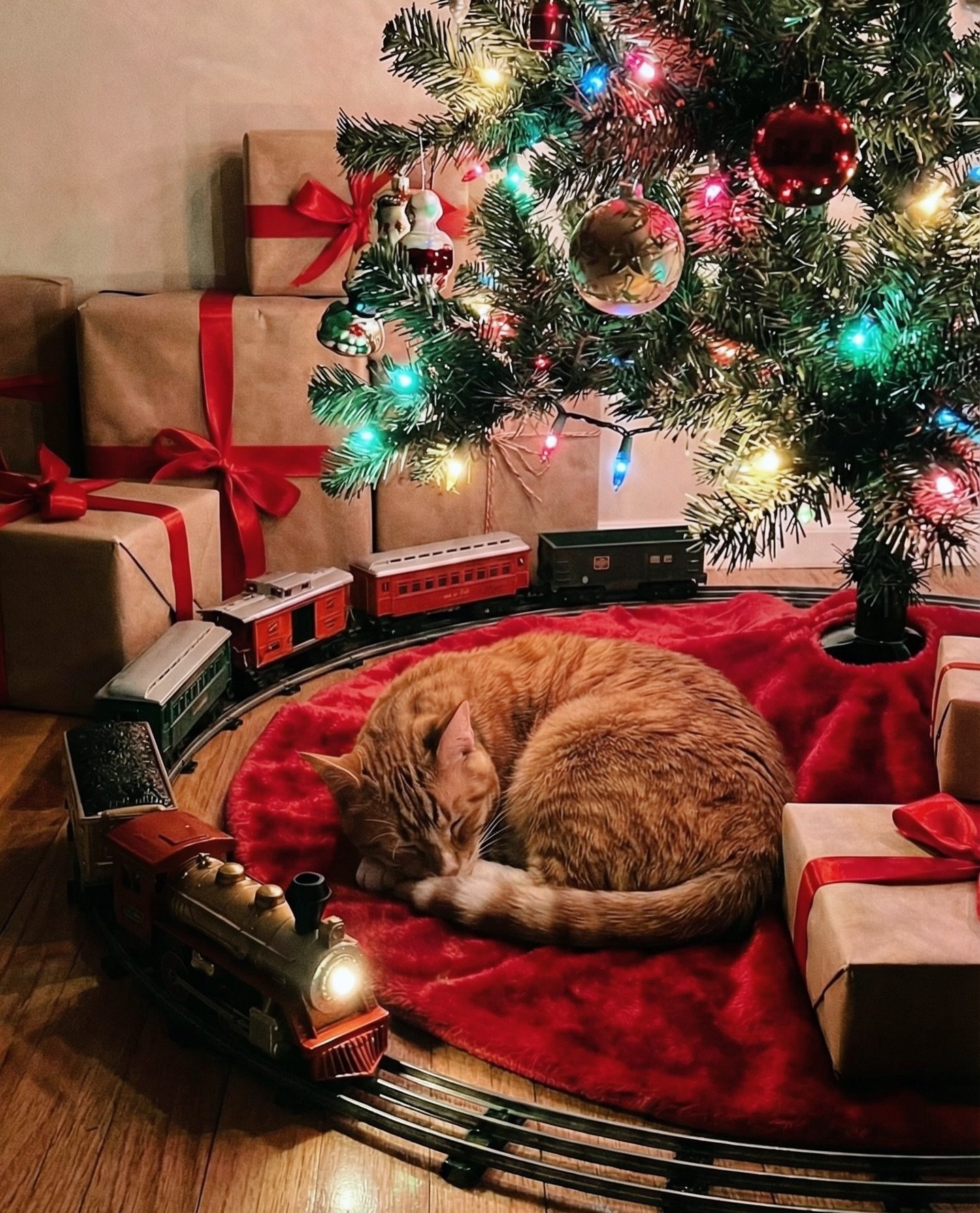 A very Merry Christmas to you and your loved ones 🎄🎁✨