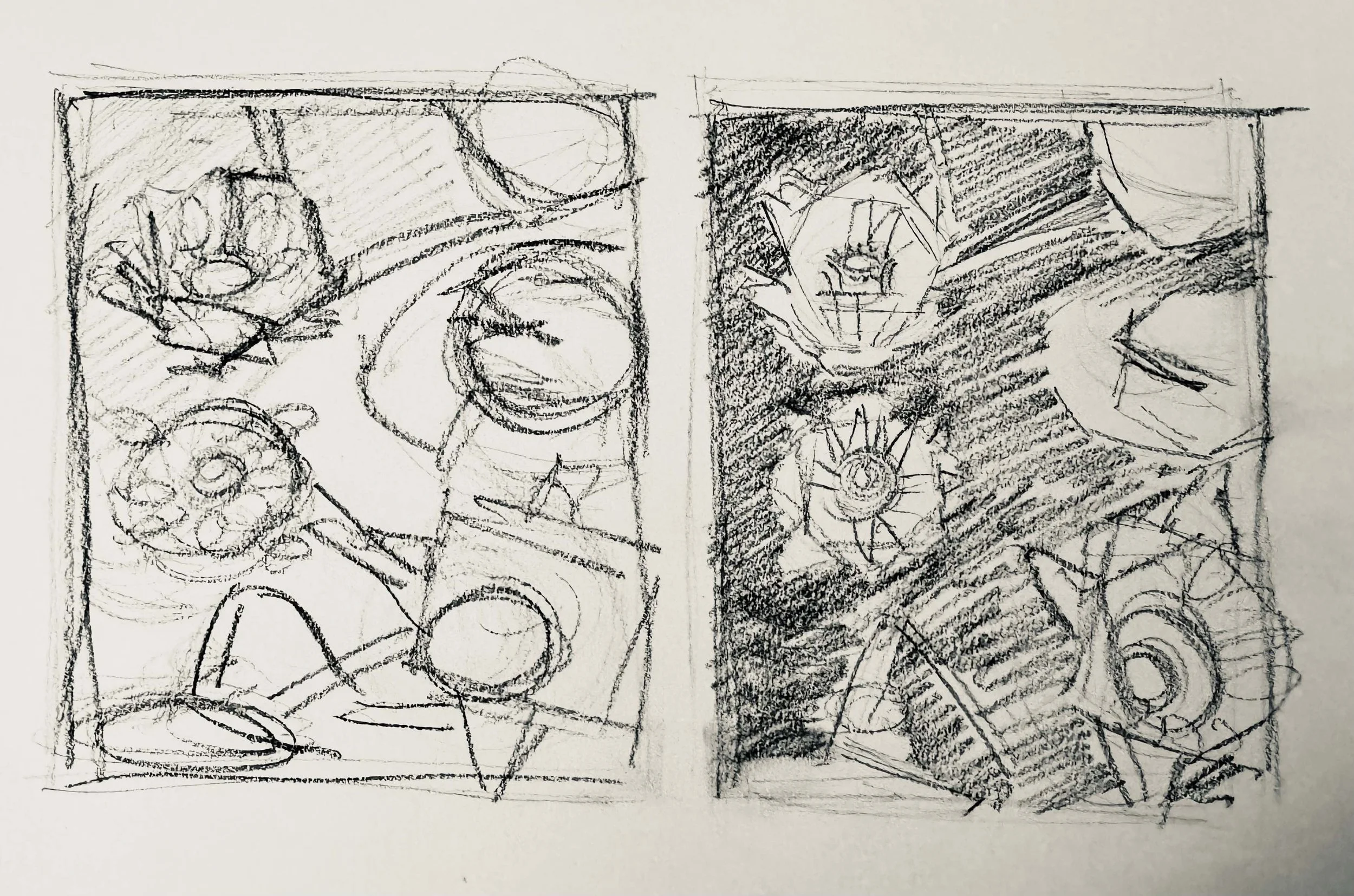 Water Lily Sketches.jpg